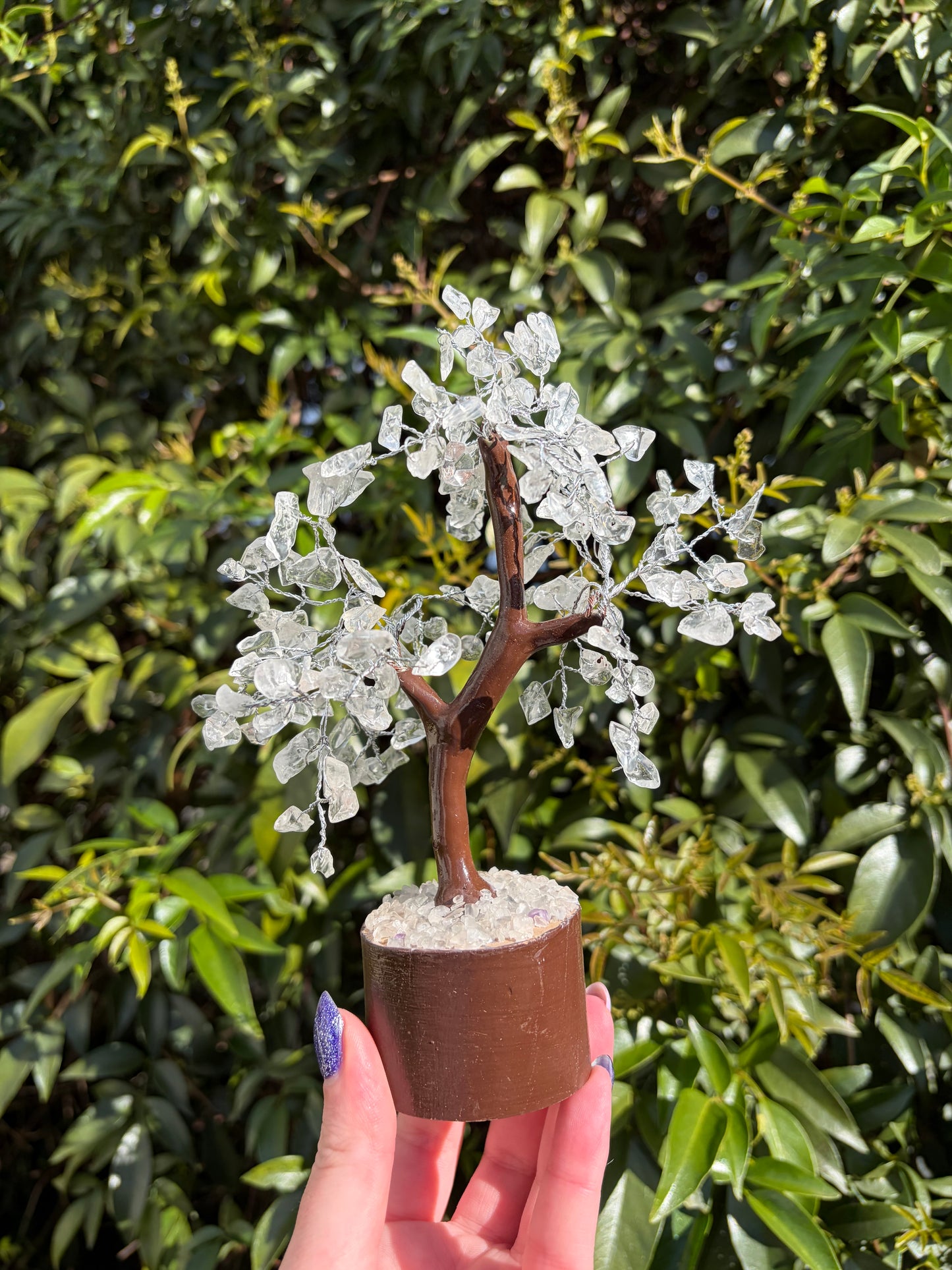 Clear Quartz Crystal Tree Medium