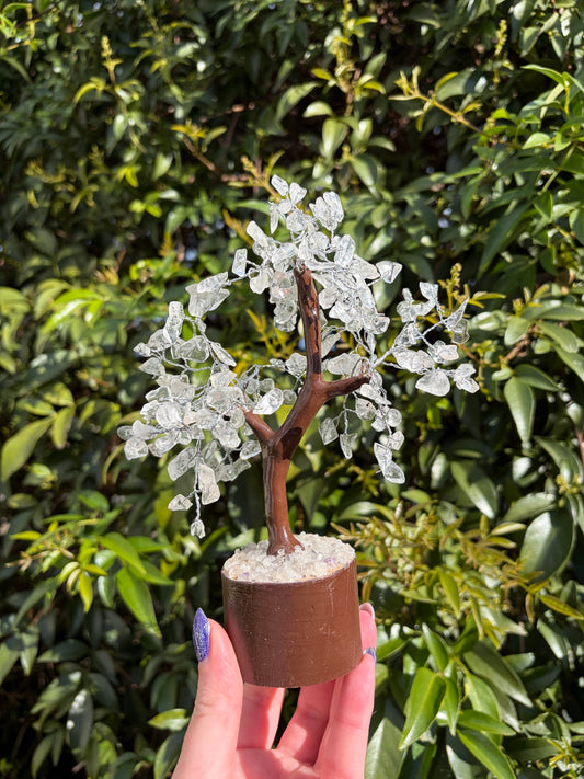 Clear Quartz Crystal Tree Medium