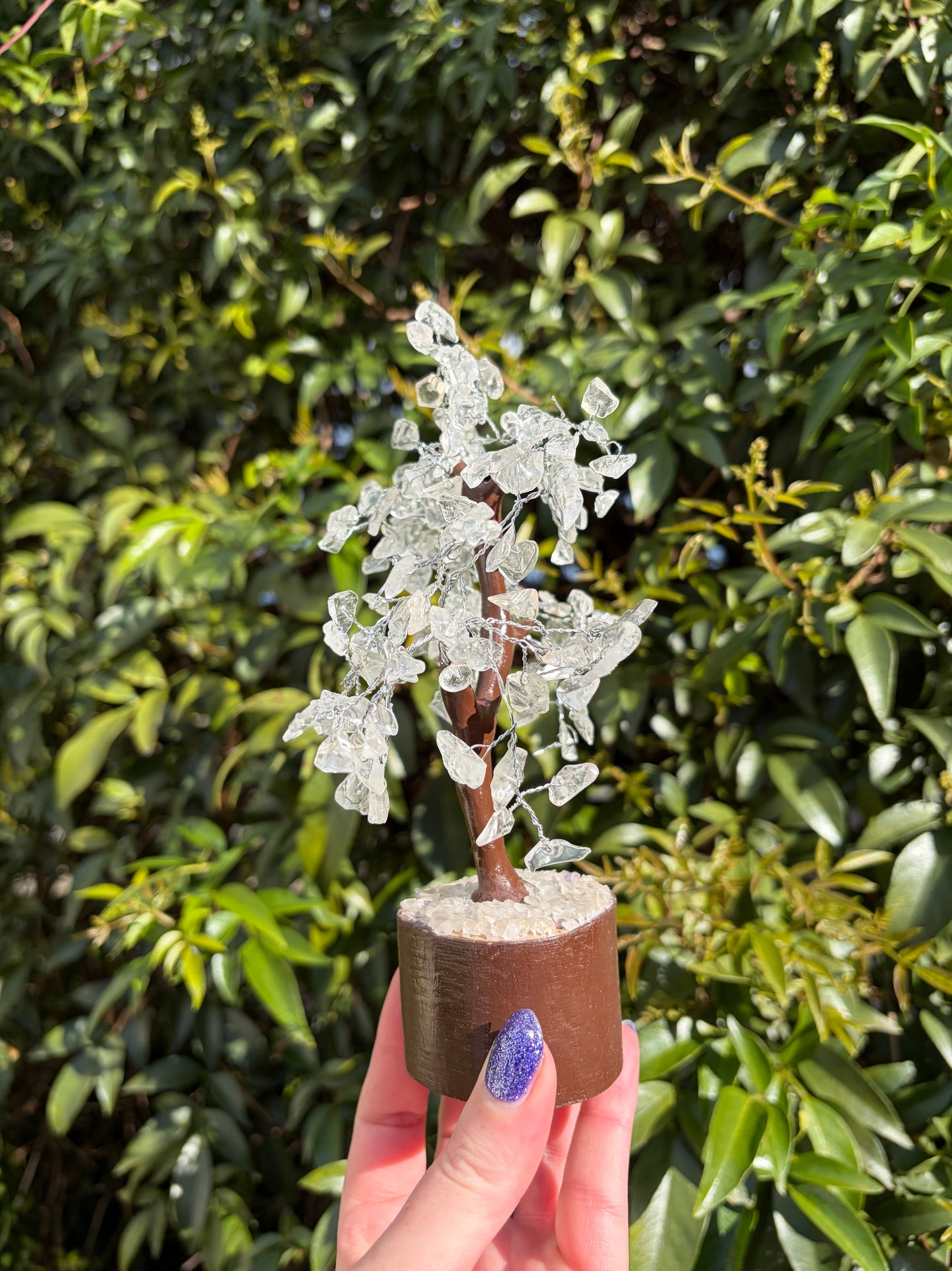 Clear Quartz Crystal Tree Medium