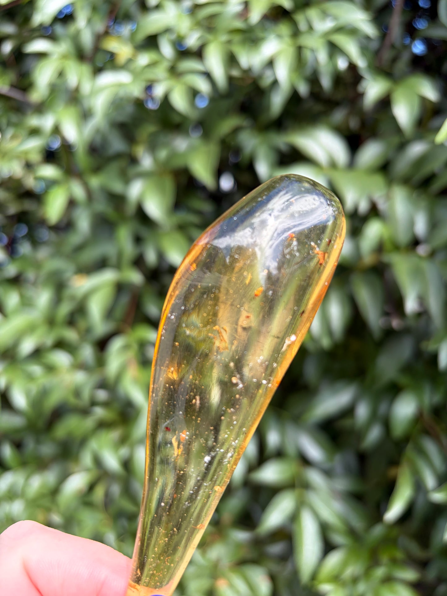 Copal Amber With Bugs Piece C