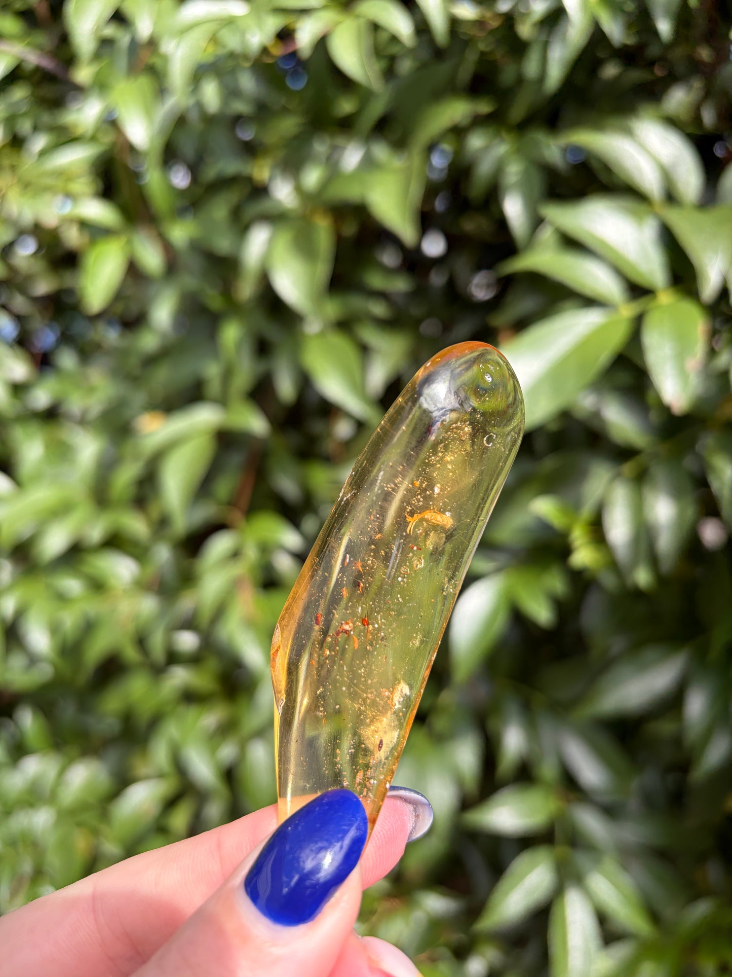 Copal Amber With Bugs Piece F