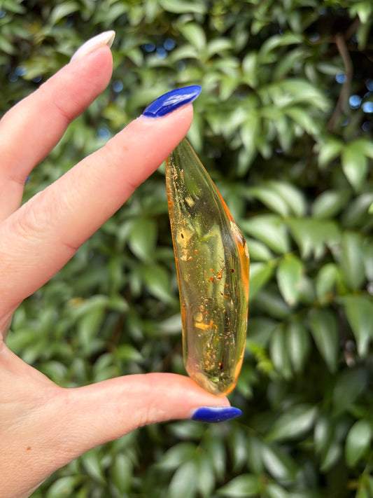 Copal Amber With Bugs Piece F