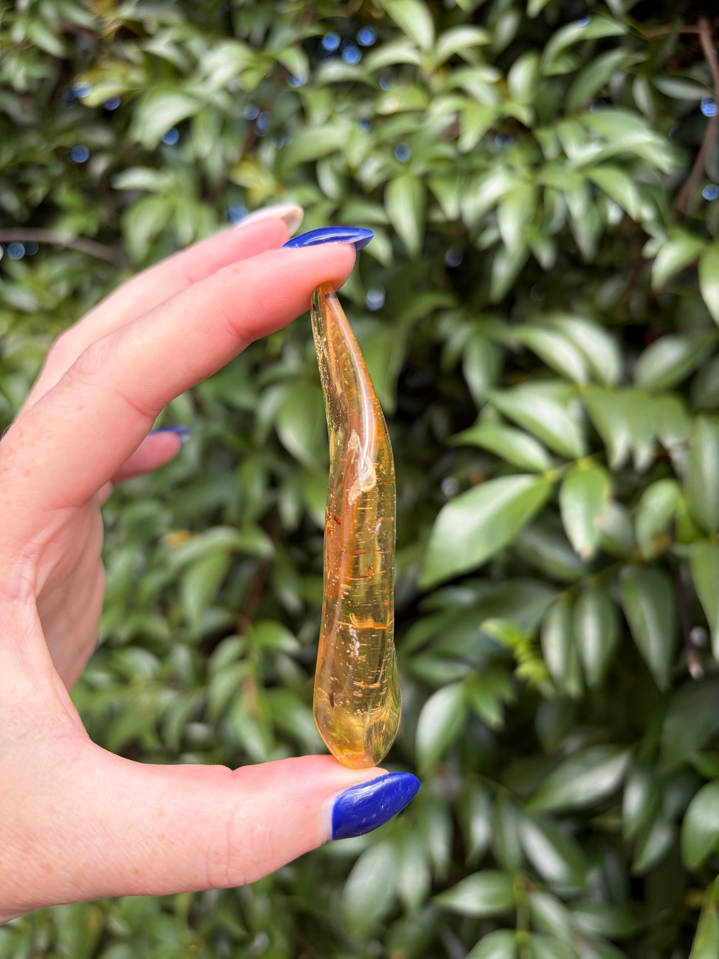 Copal Amber With Bugs Piece F