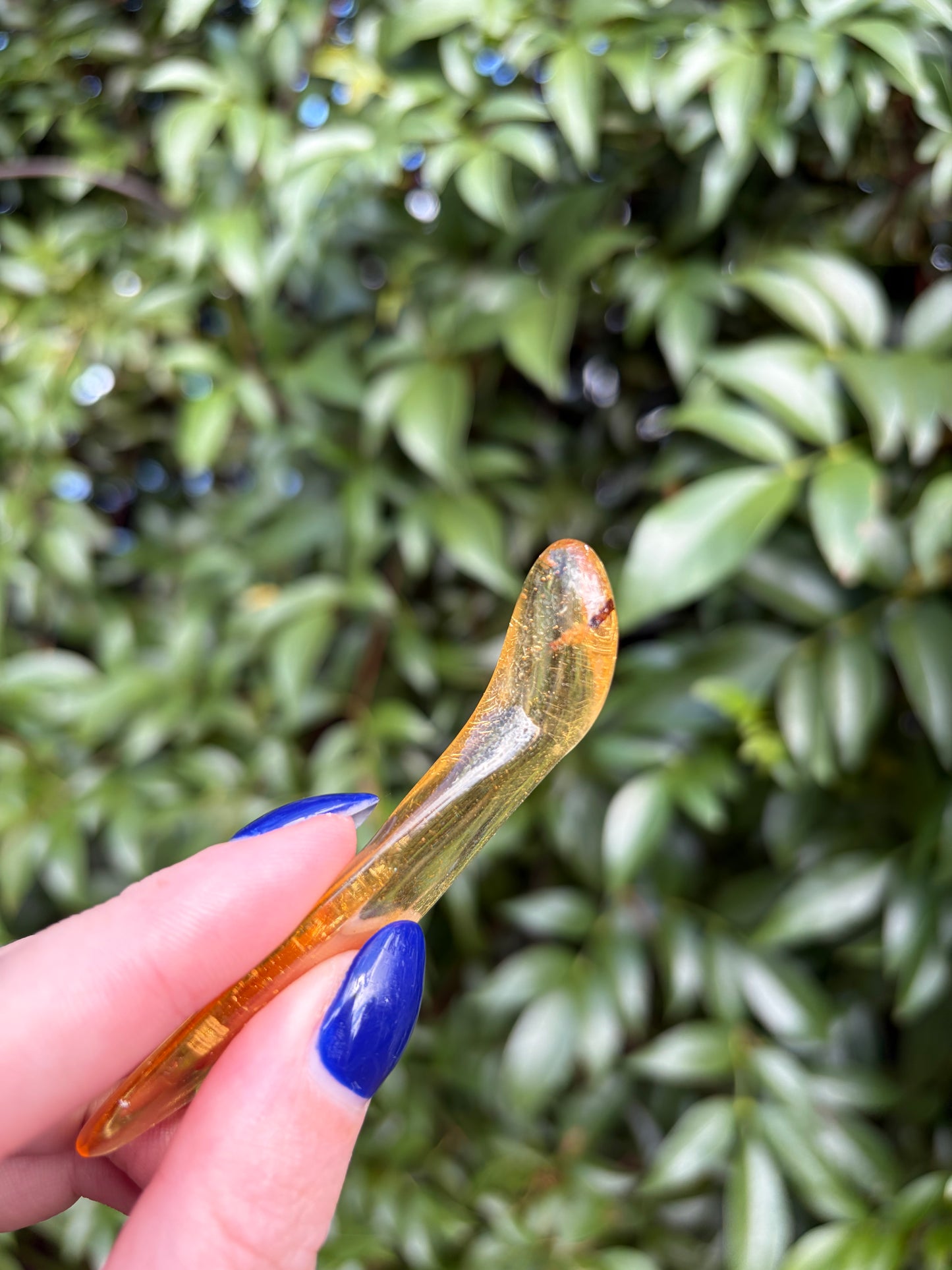 Copal Amber With A Bug Piece G