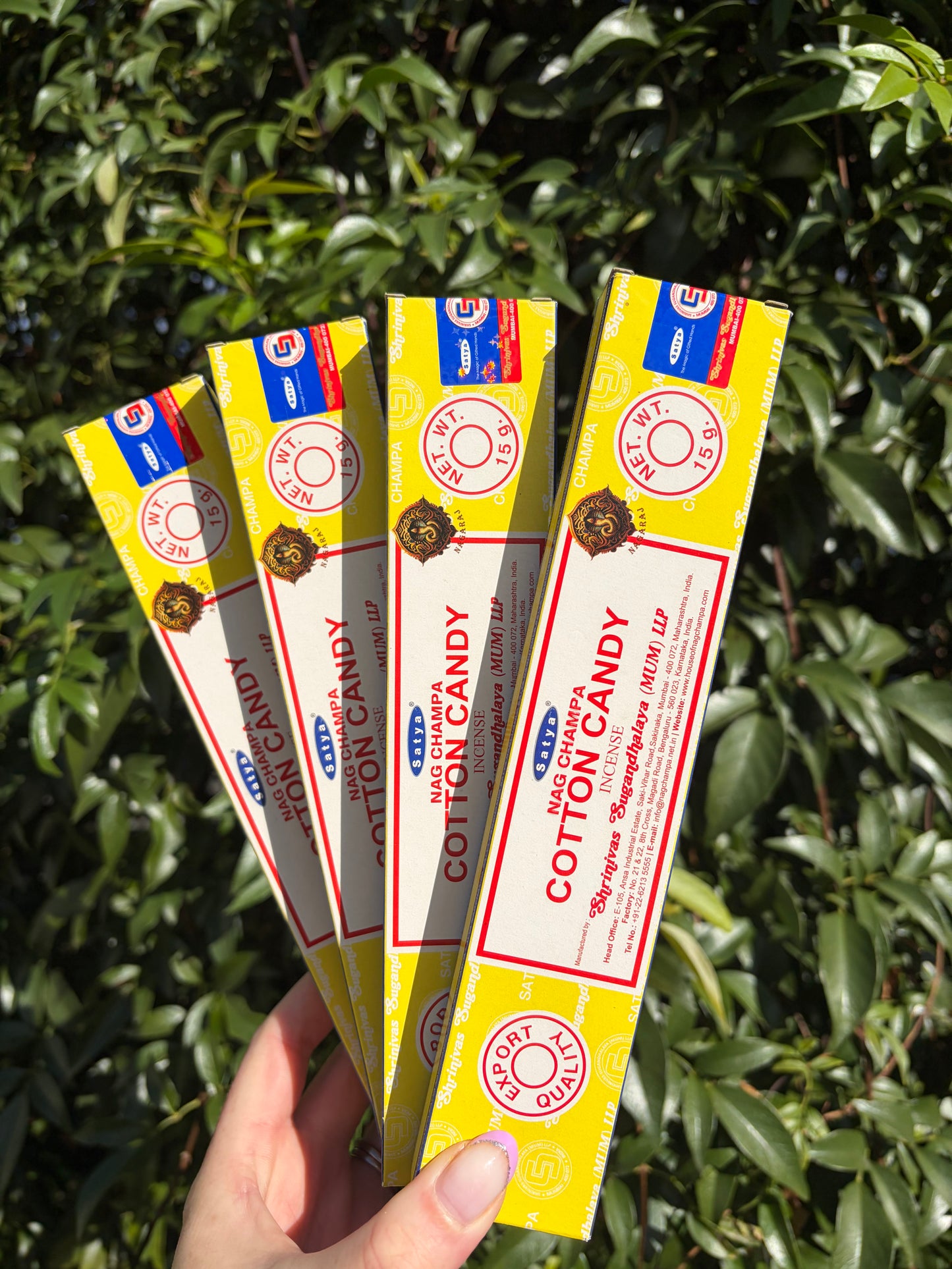Cotton Candy Incense Sticks