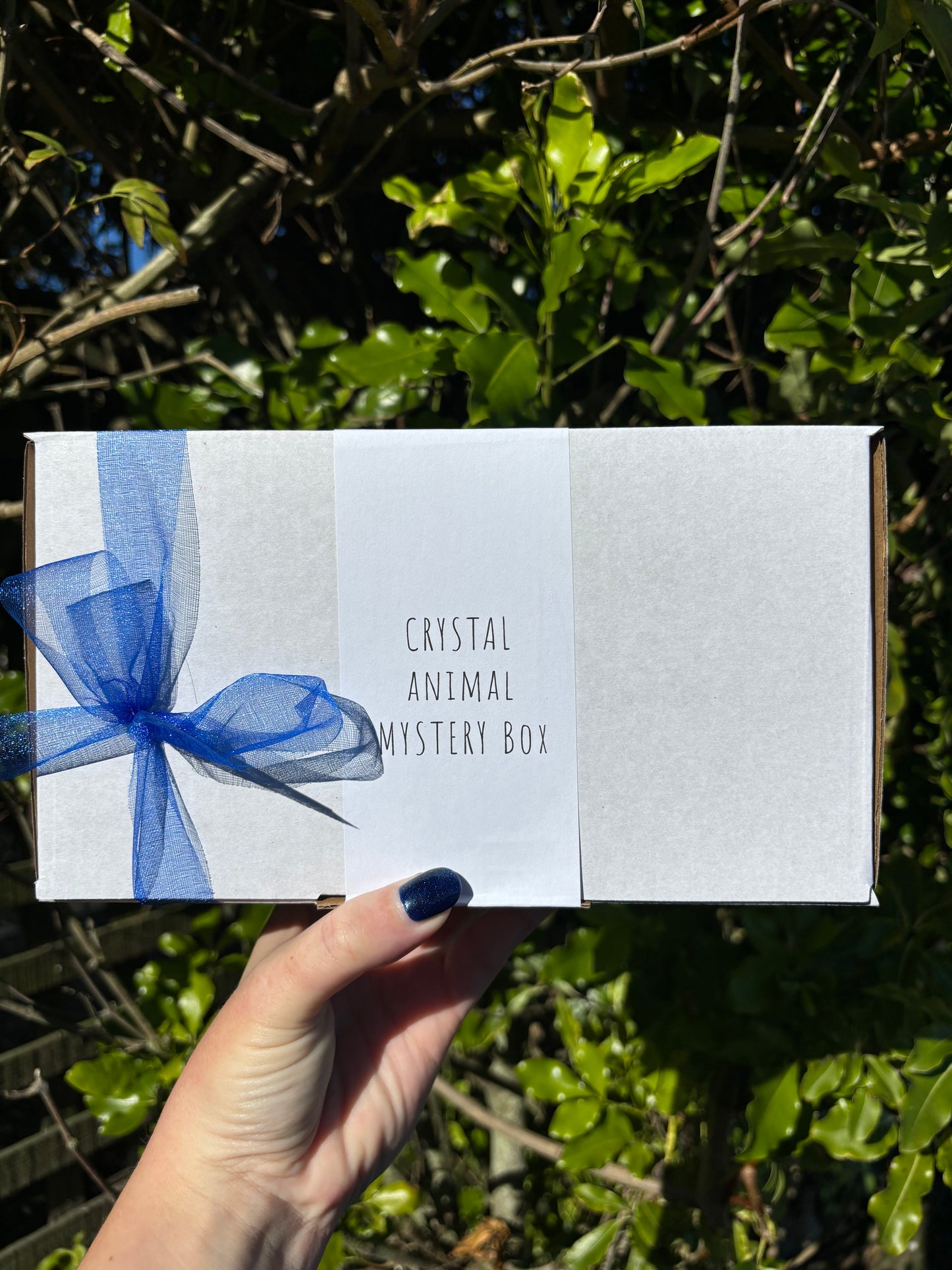 Crystal Animal Mystery Box Valued At $62
