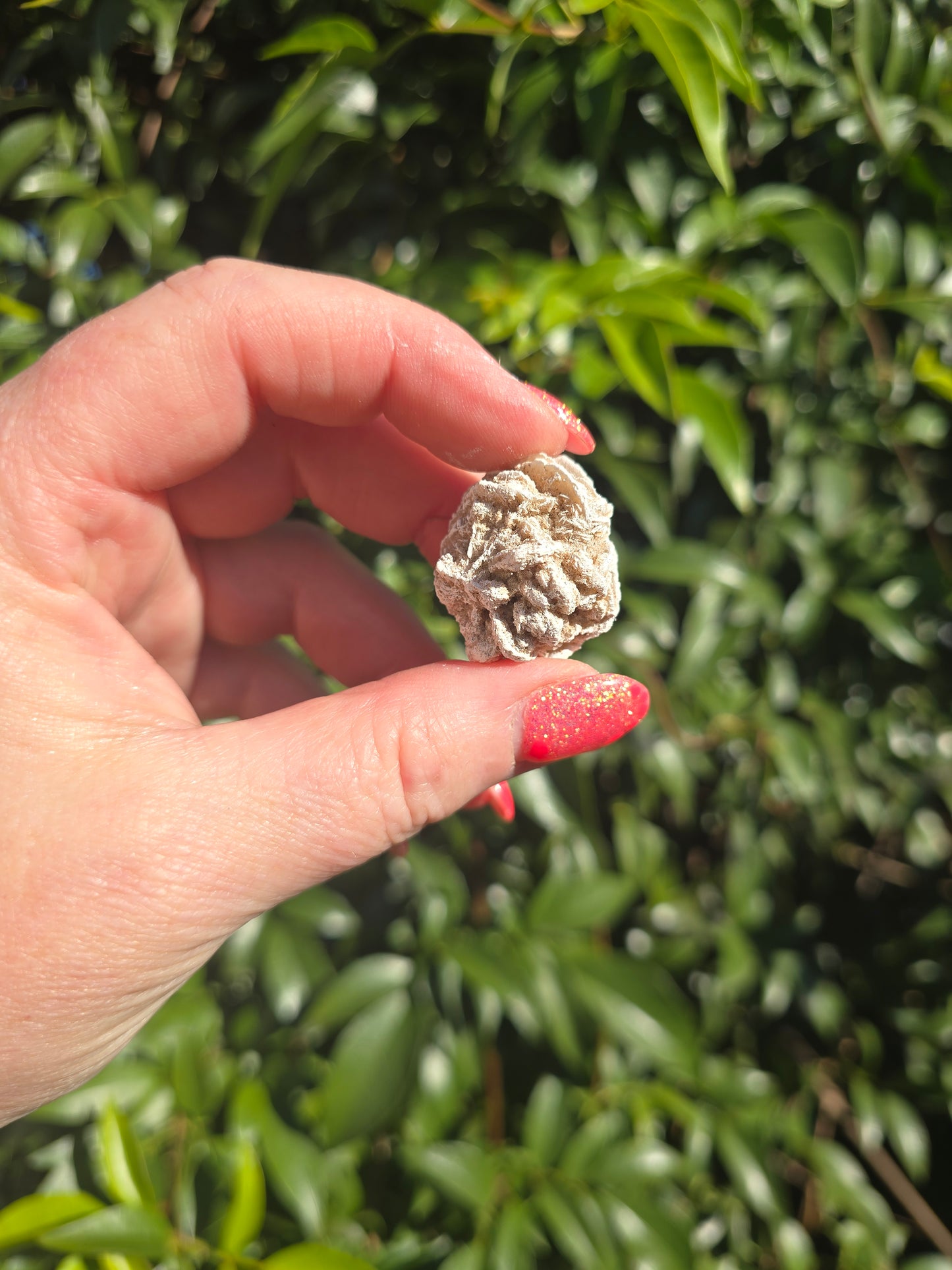 Desert Rose Small Piece