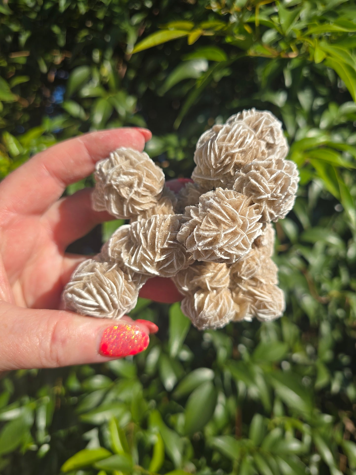 Desert Rose Cluster Piece A