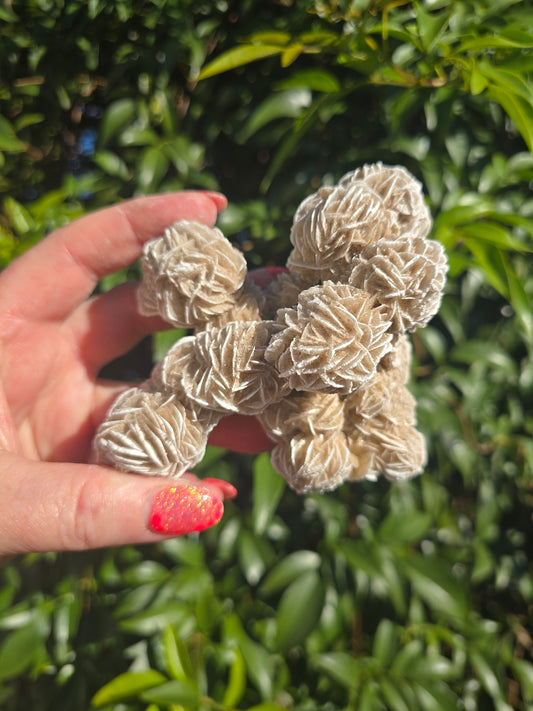 Desert Rose Cluster Piece A