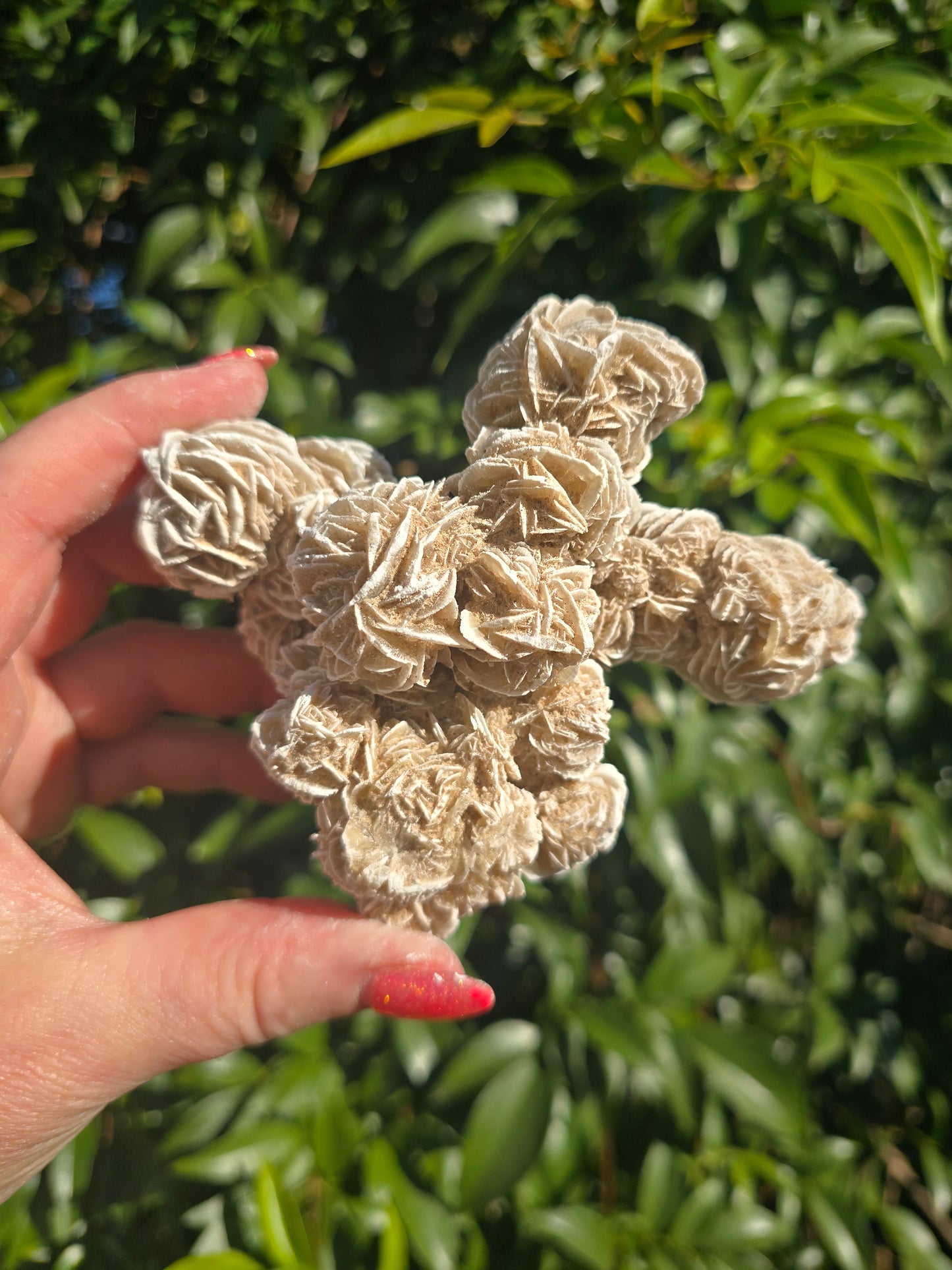 Desert Rose Cluster Piece A