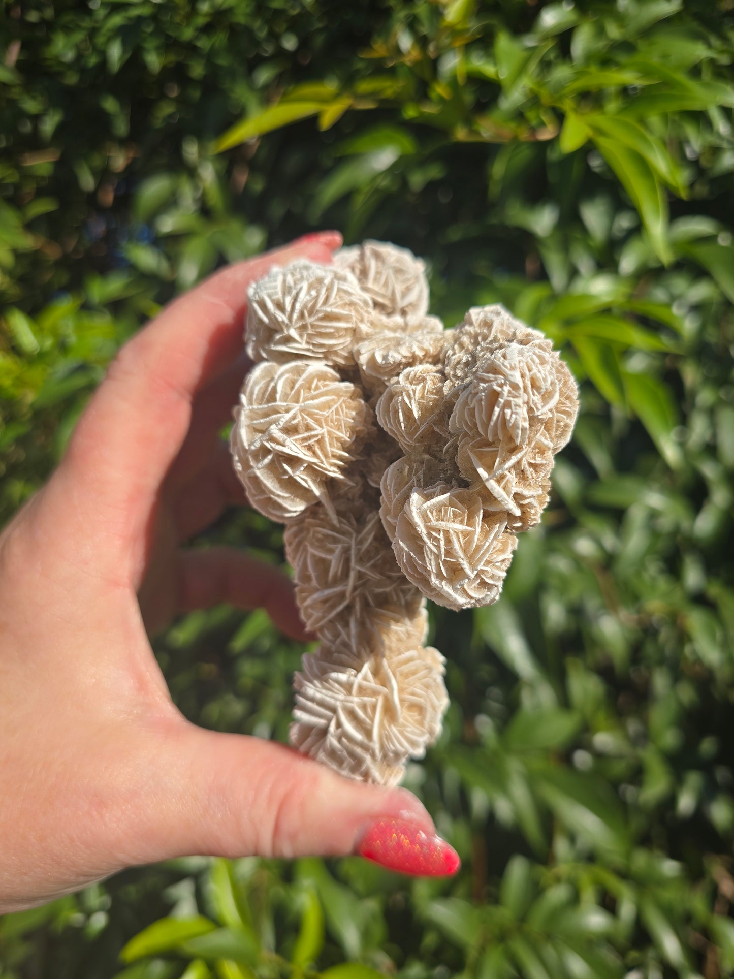Desert Rose Cluster Piece A