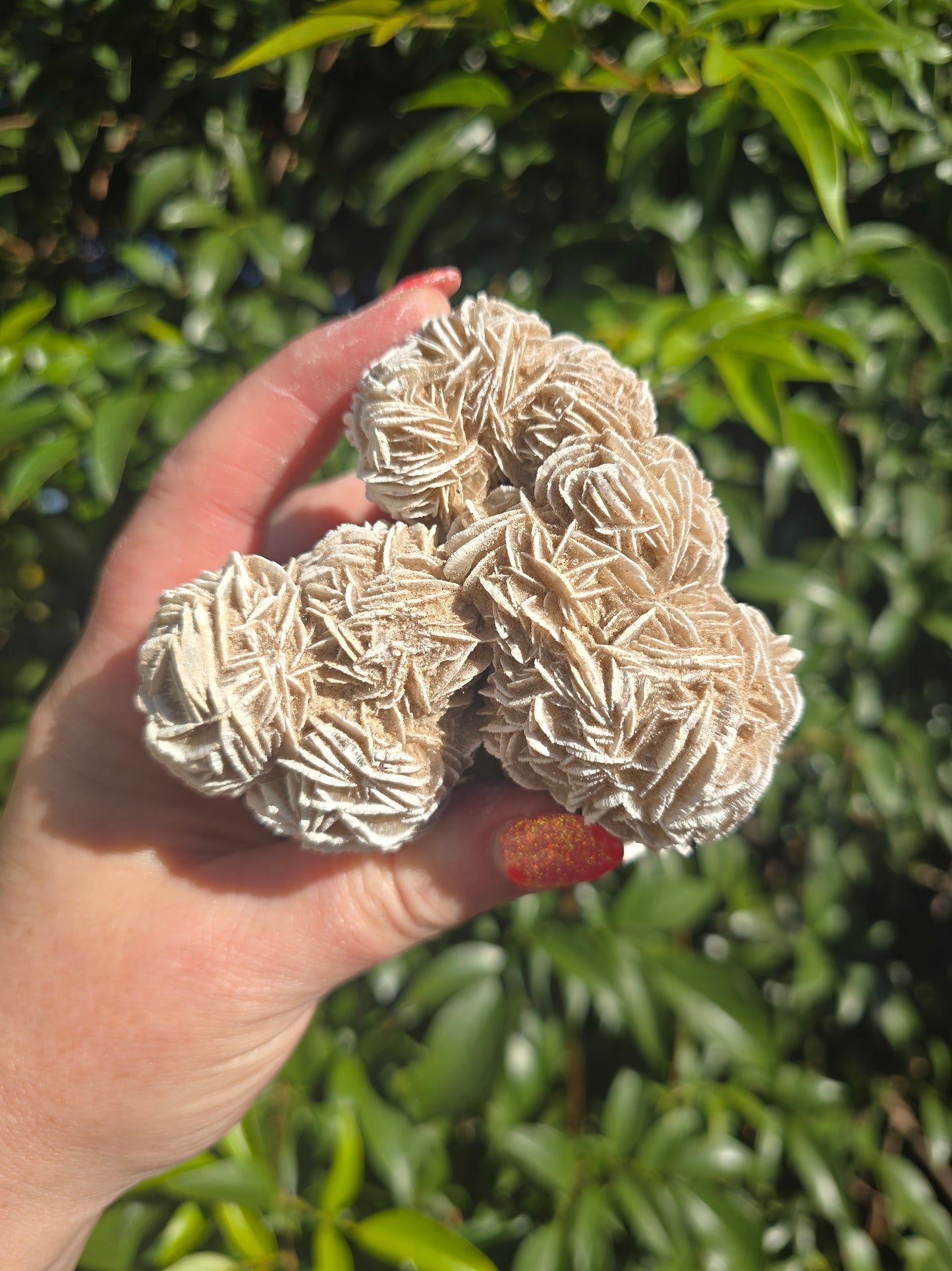 Desert Rose Cluster Piece B