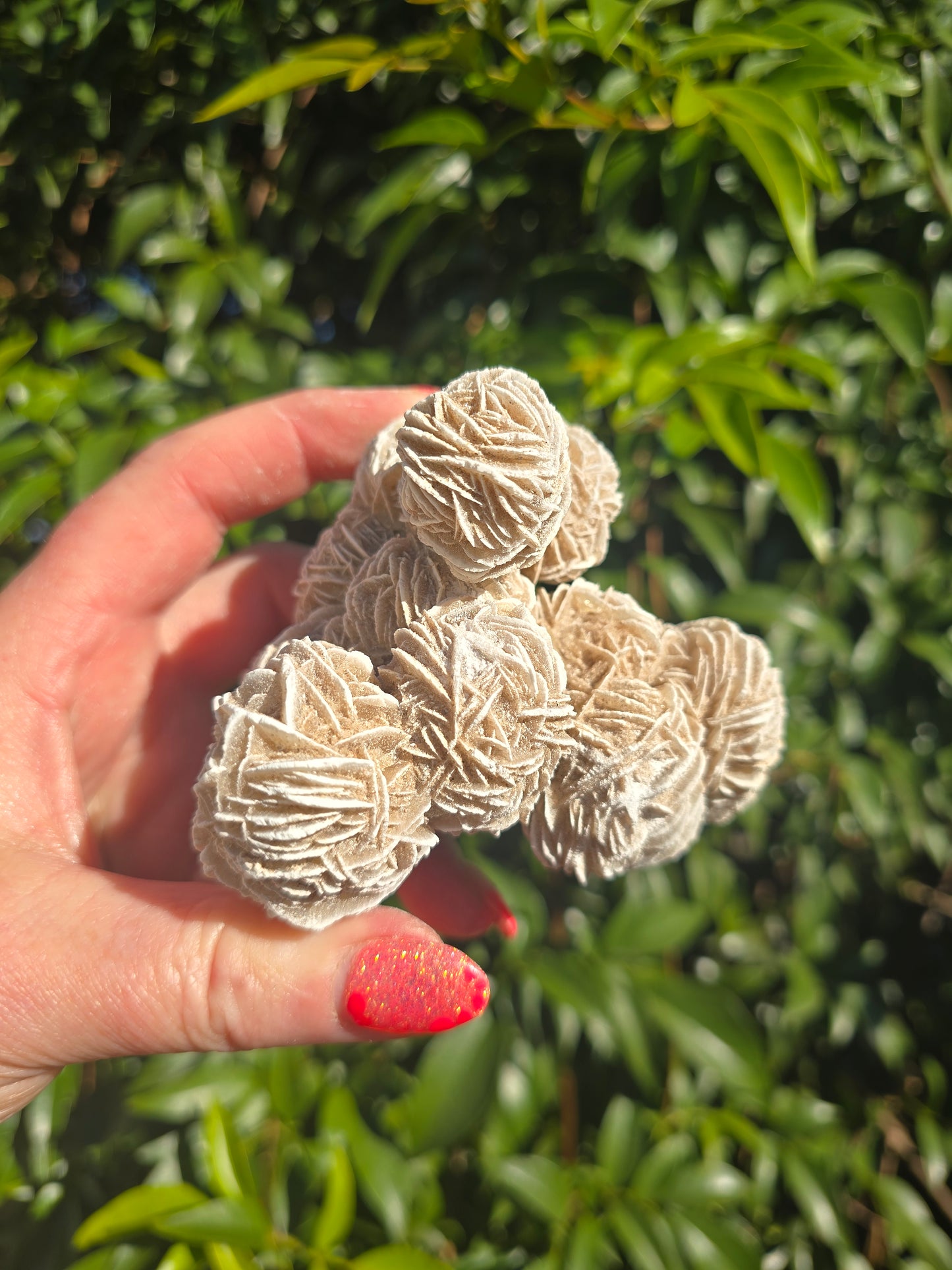 Desert Rose Cluster Piece B