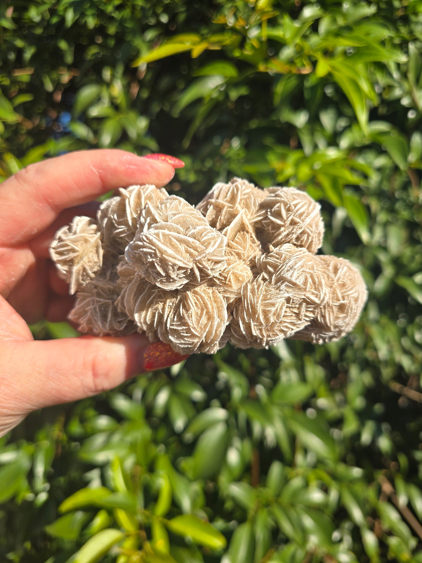 Desert Rose Cluster Piece C