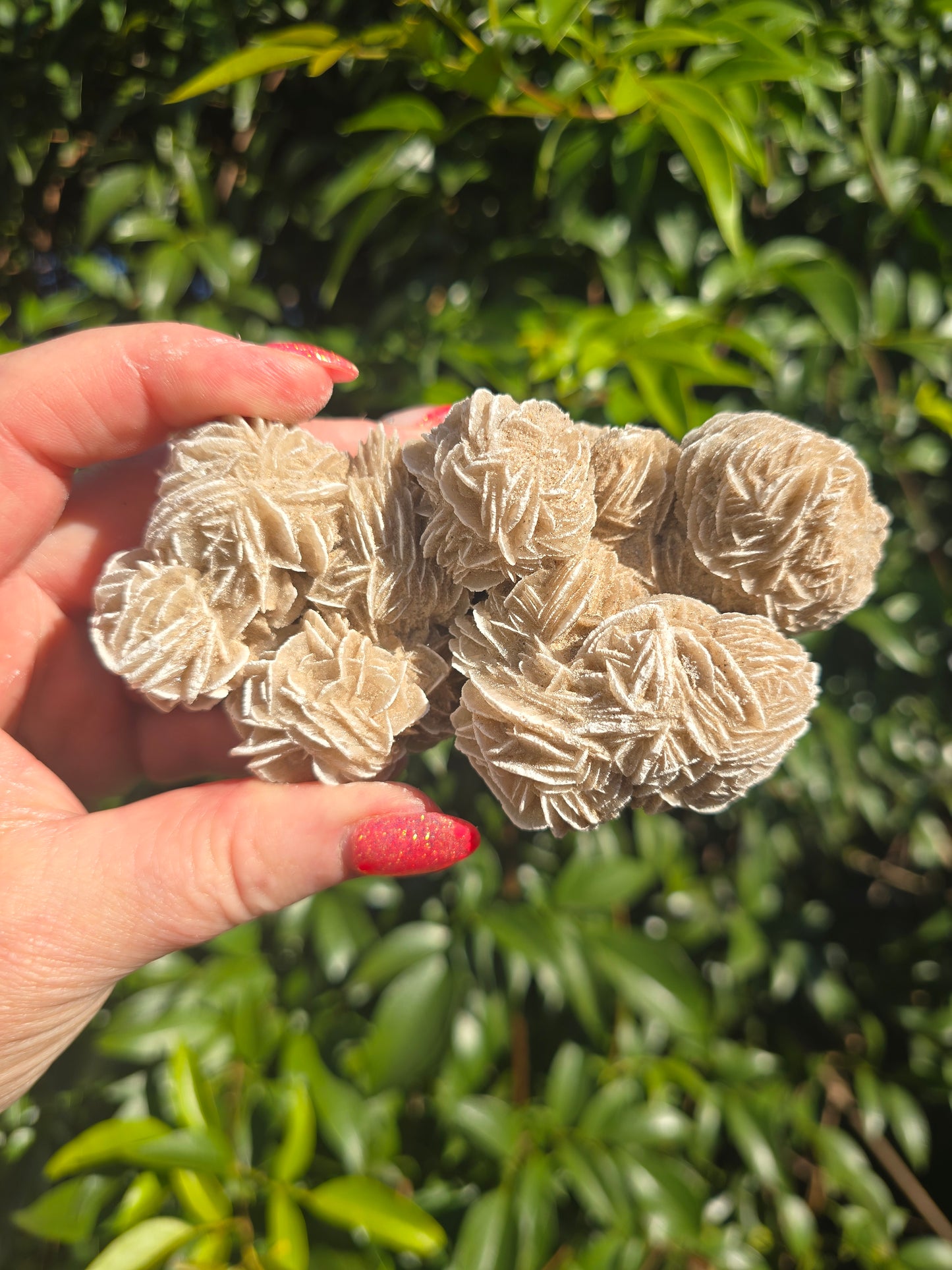 Desert Rose Cluster Piece C
