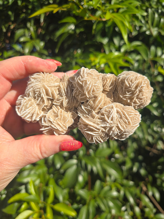 Desert Rose Cluster Piece C
