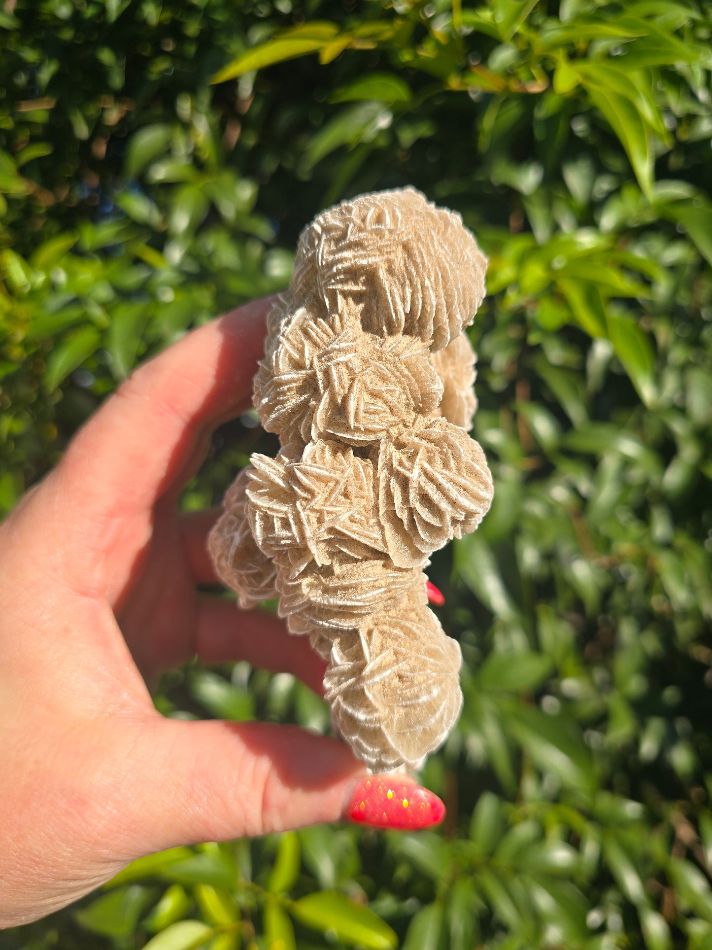 Desert Rose Cluster Piece C