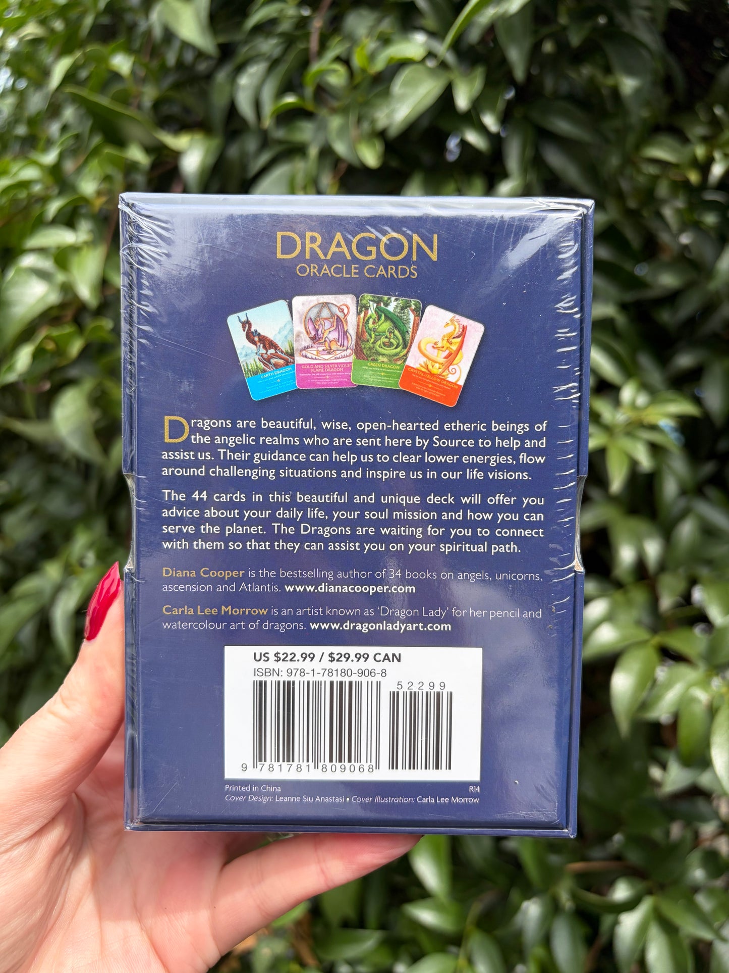 Dragon Oracle Cards