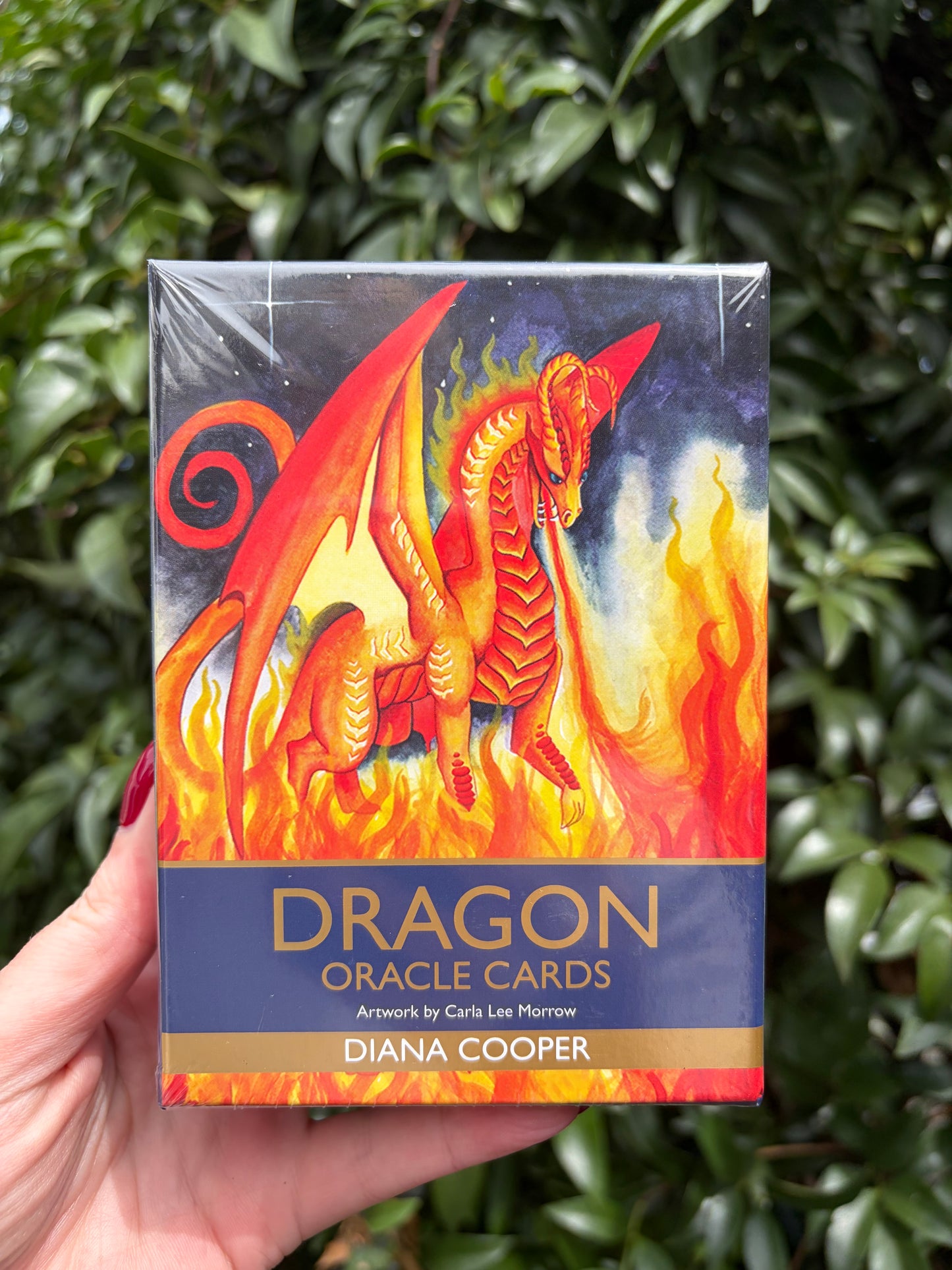 Dragon Oracle Cards