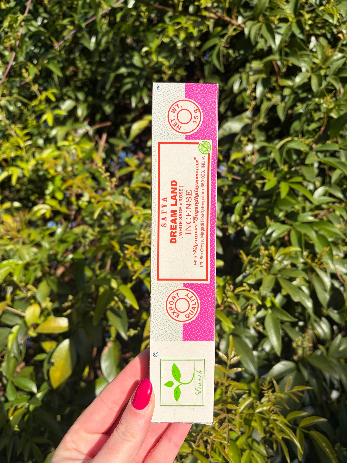 Dream Land | White Sage & Rose Incense Sticks