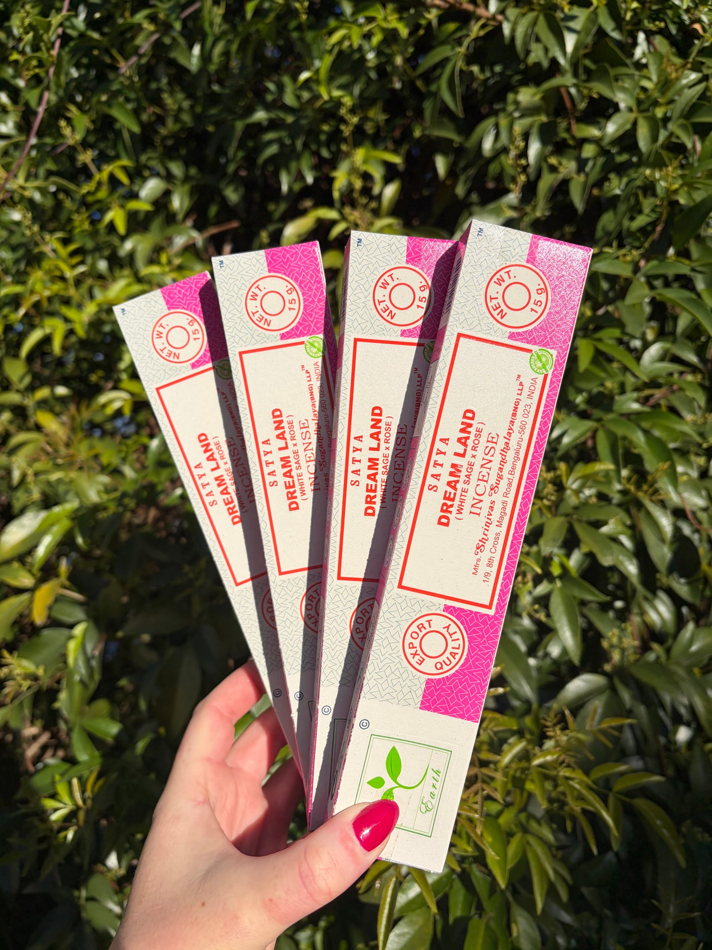 Dream Land | White Sage & Rose Incense Sticks