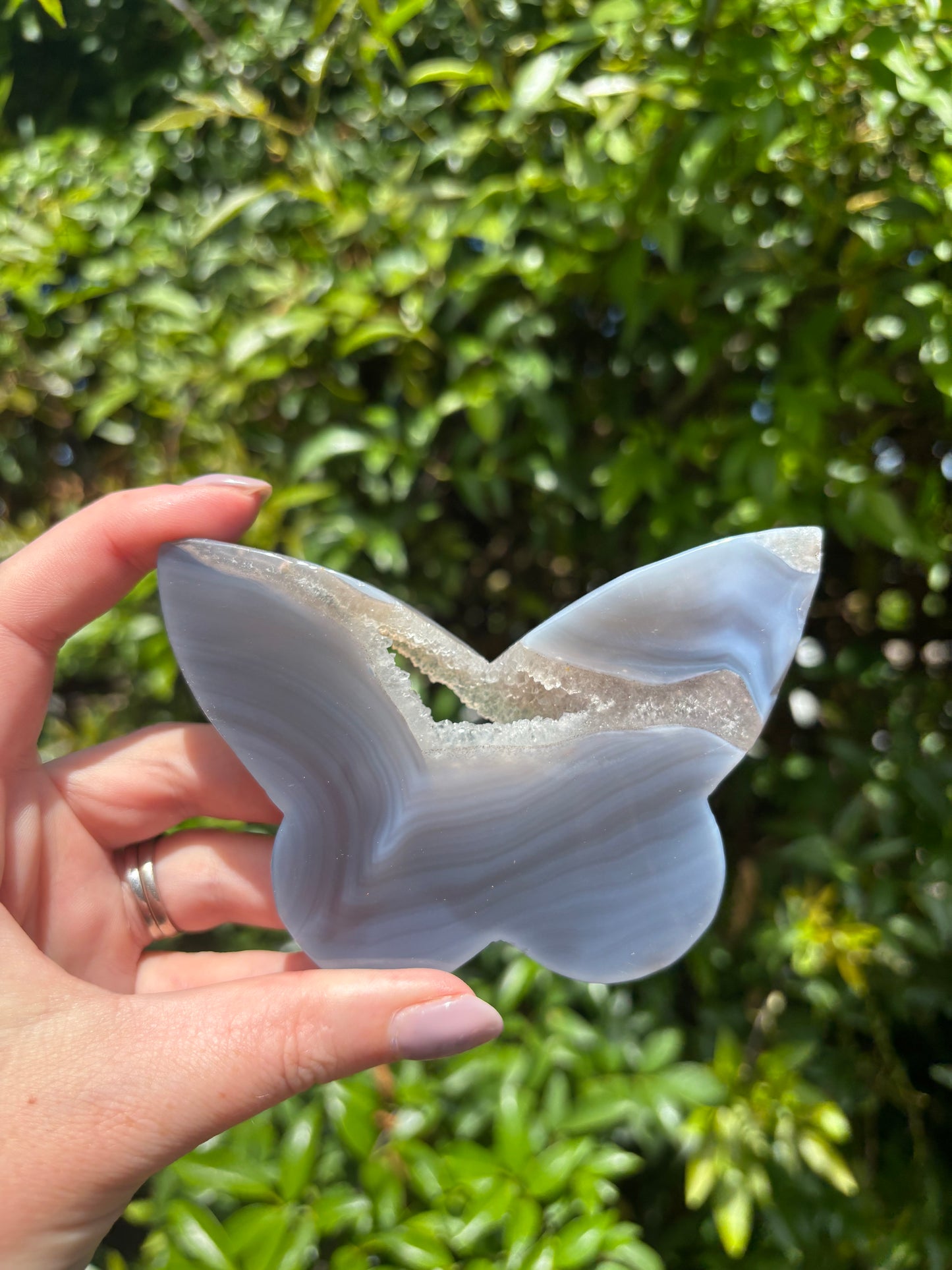 Druzy Agate Butterfly Piece A