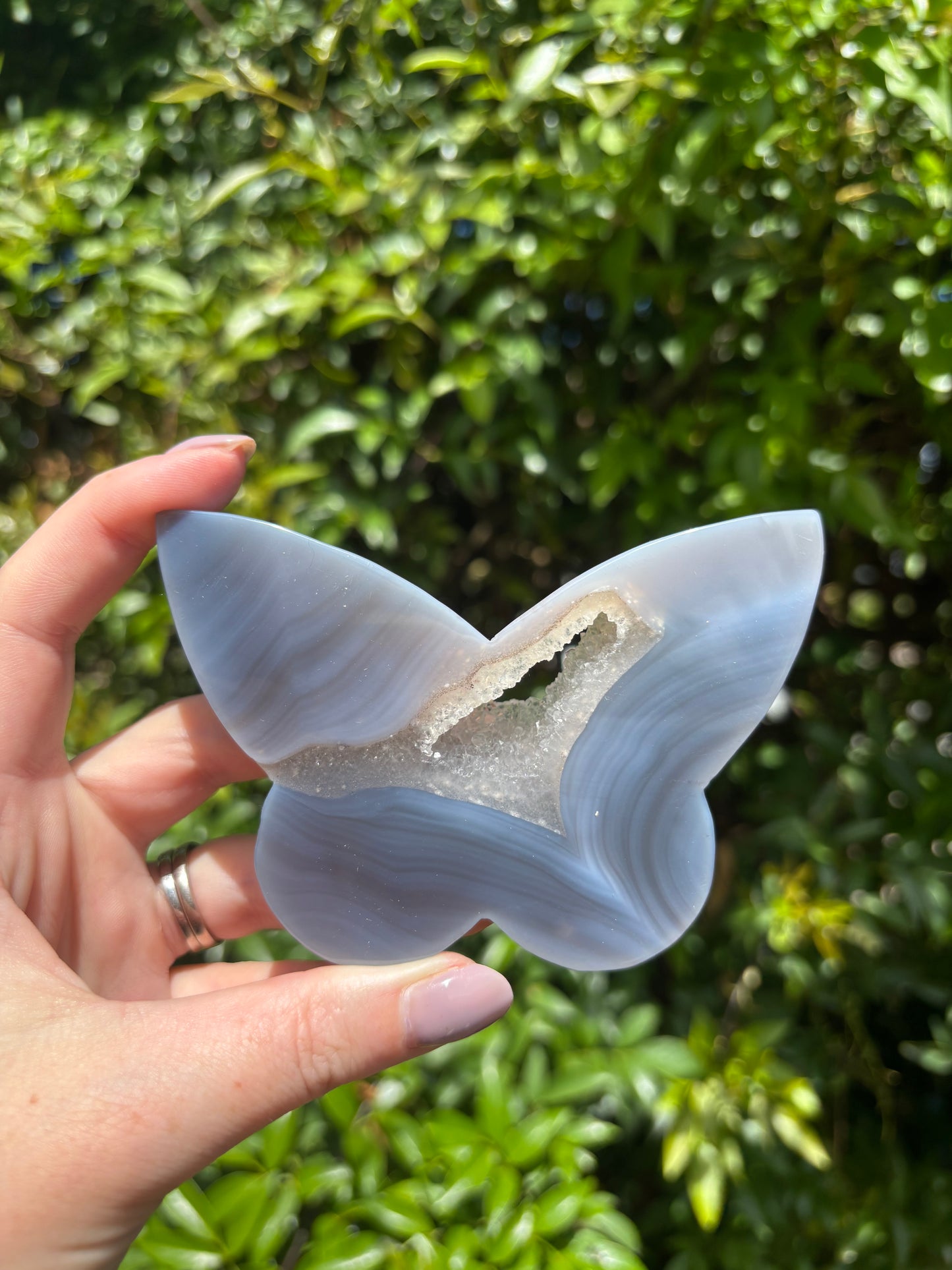 Druzy Agate Butterfly Piece A