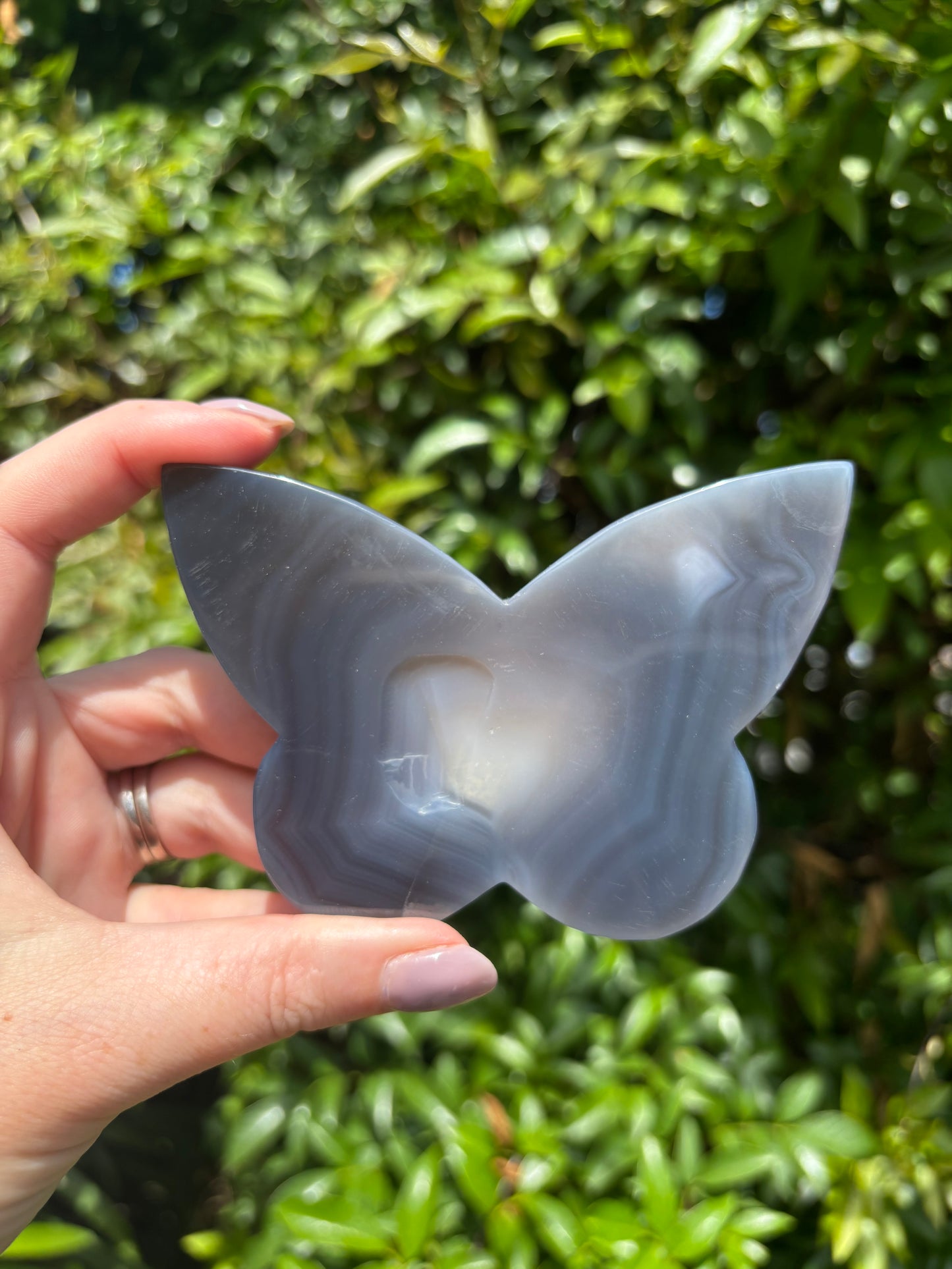 Druzy Agate Butterfly Piece B