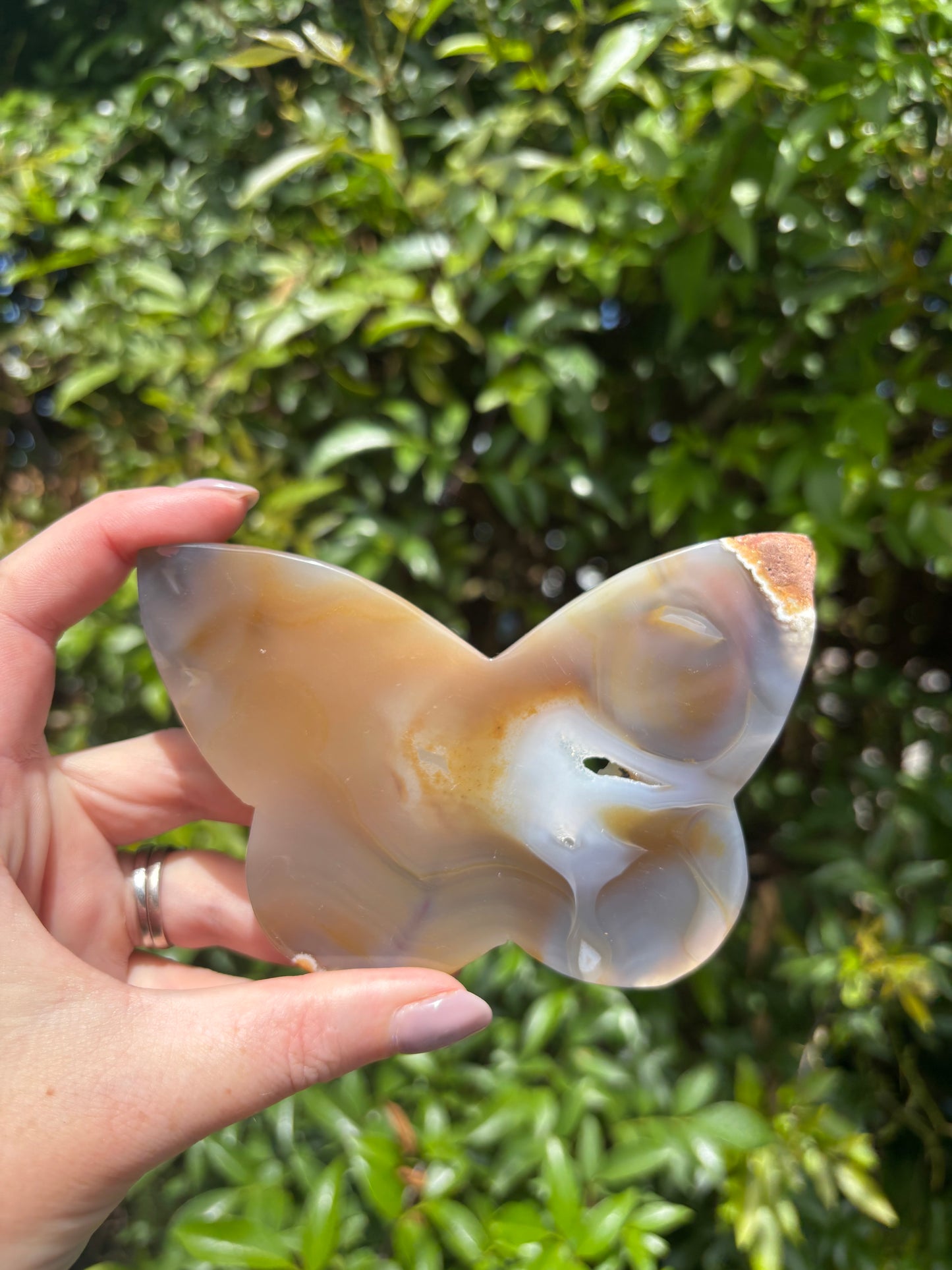 Druzy Agate Butterfly Piece C