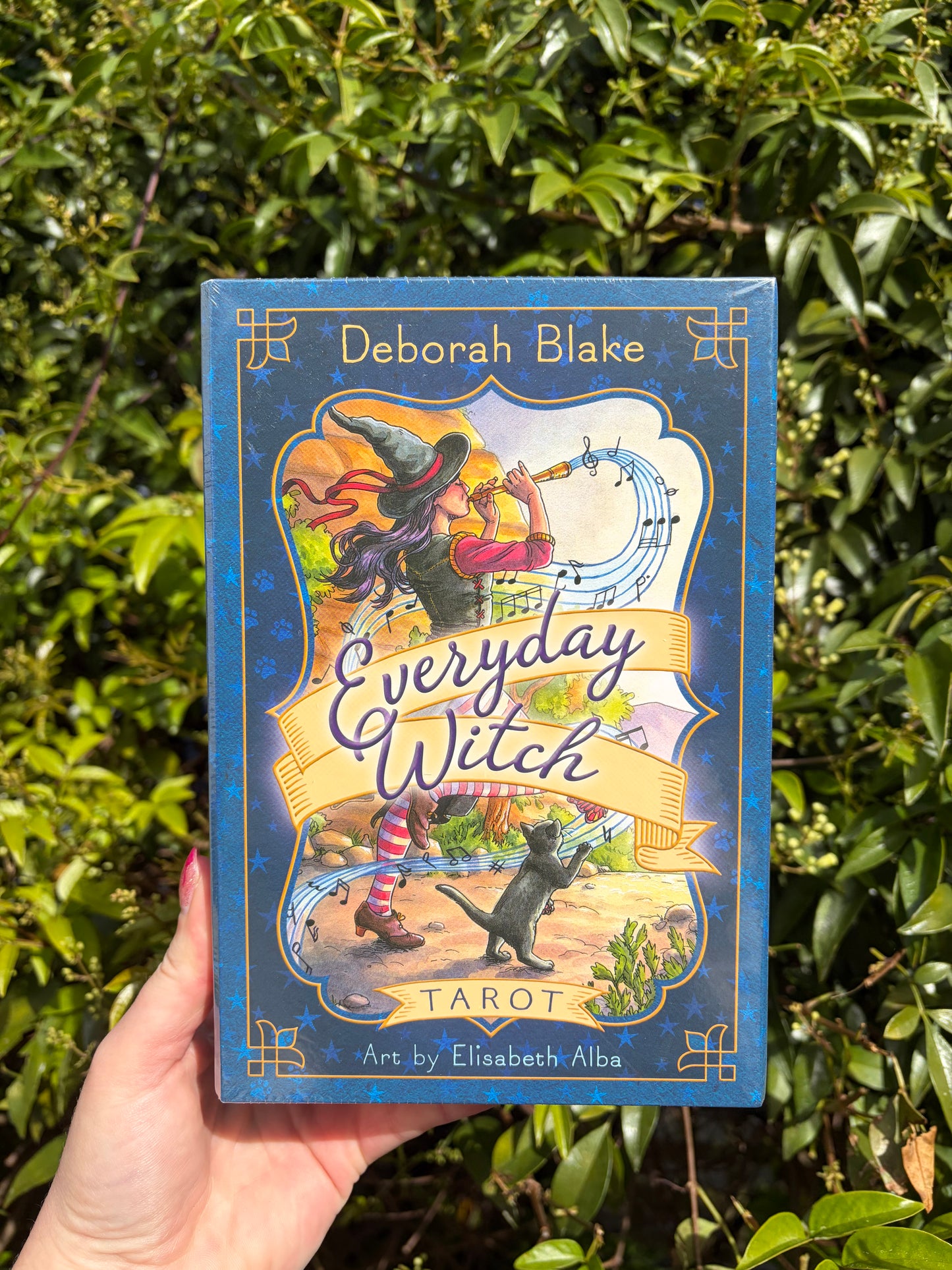 Everyday Witch Tarot Cards