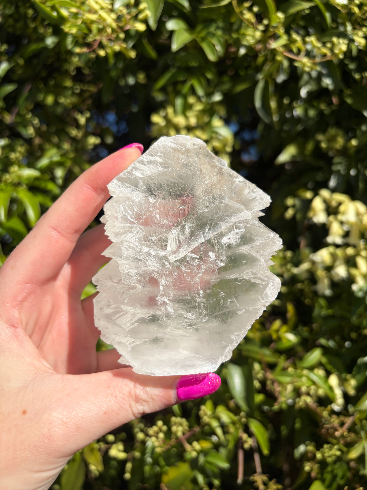 Fishtail Selenite Piece A