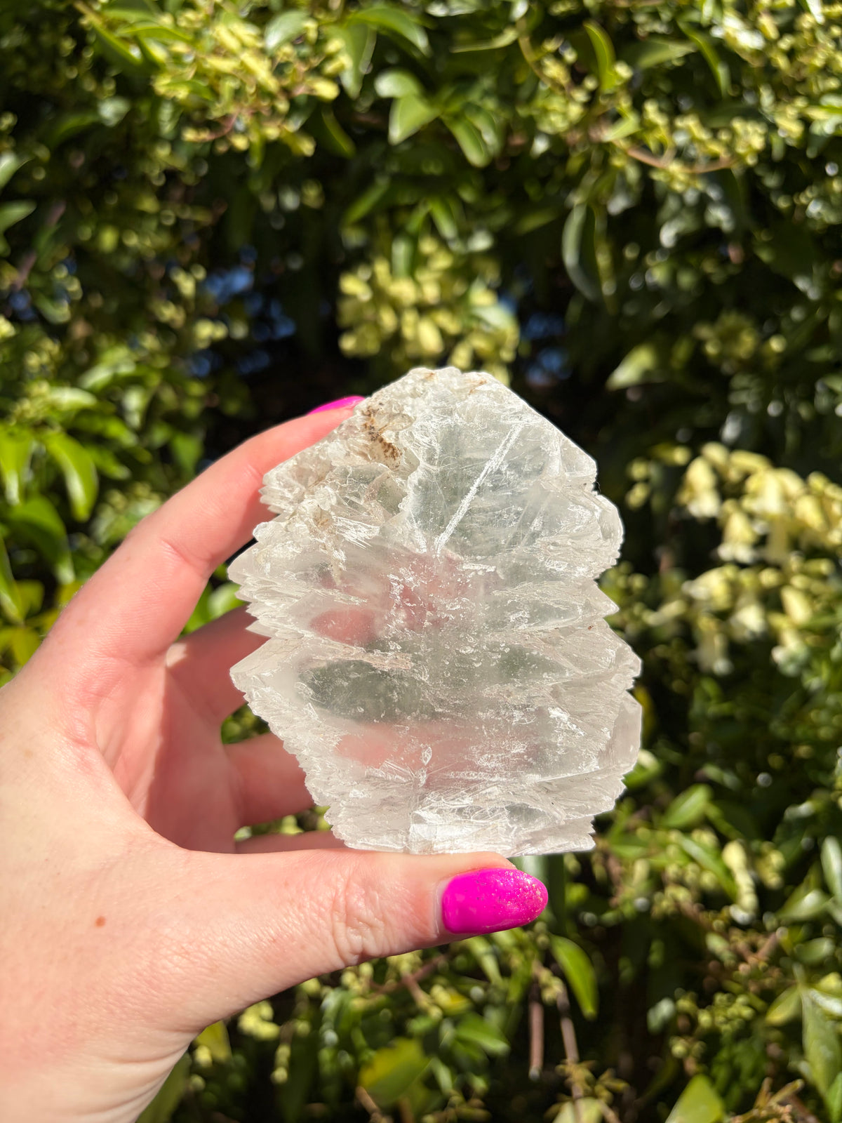 Fishtail Selenite Piece A
