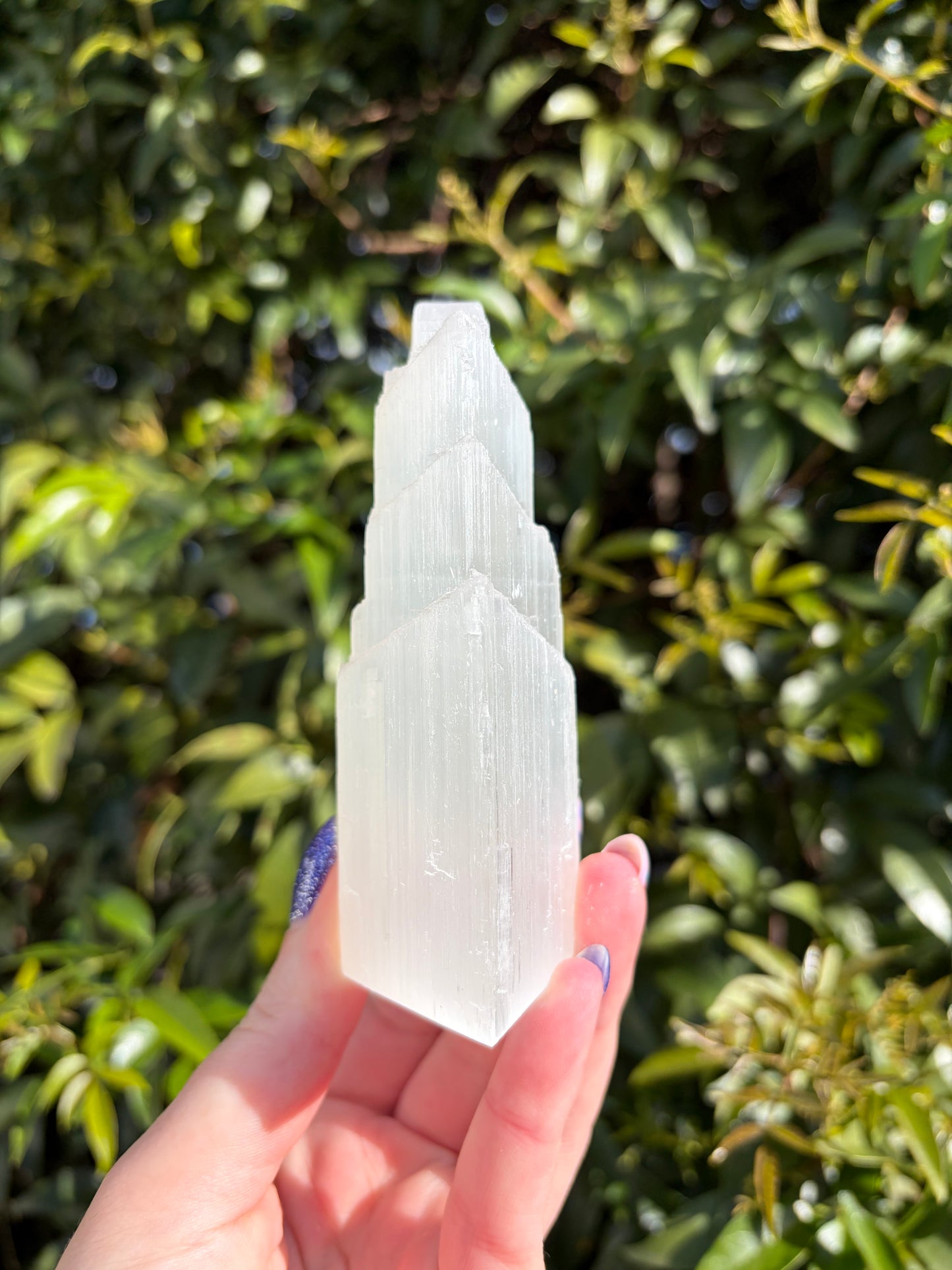 Selenite Fish Tail Tower Medium