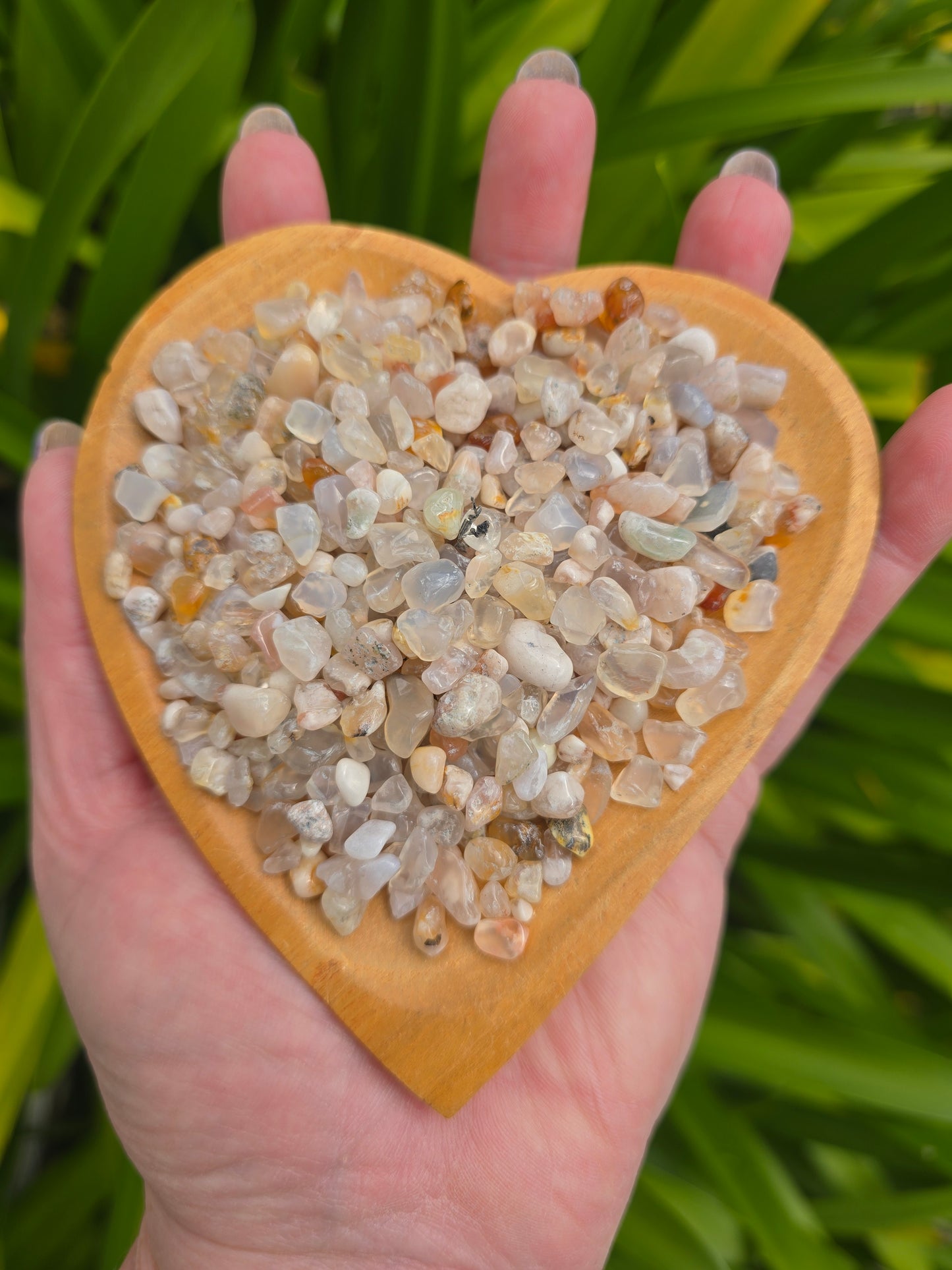 Flower Agate Crystal Chip 100 gms Bag