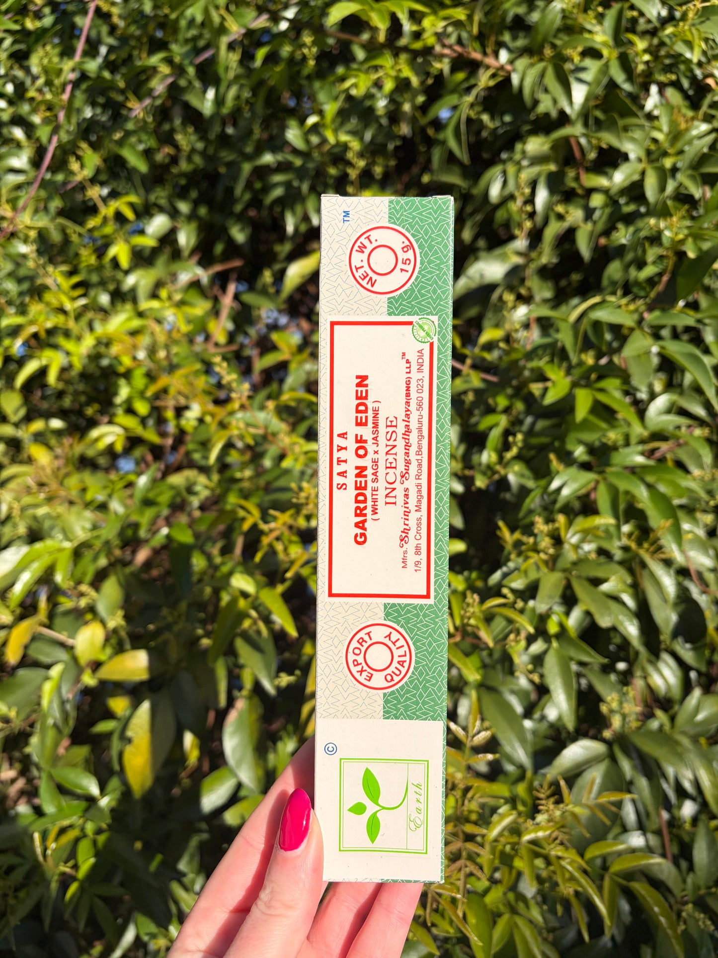 Garden Of Eden | White Sage & Jasmine Incense Sticks