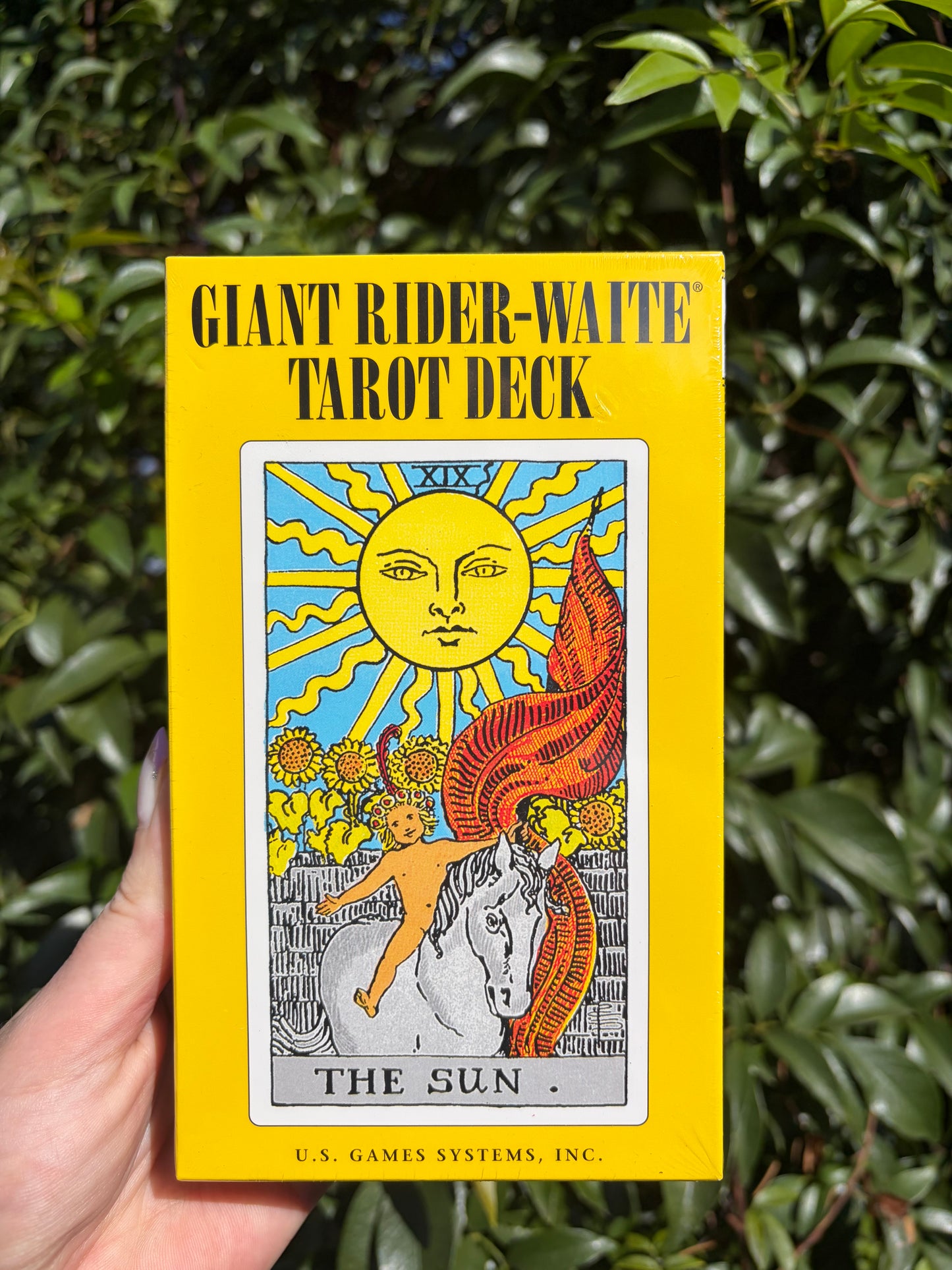 Giant Rider Waite Tarot Cards