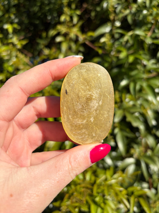 Golden Mica Palm Stone A