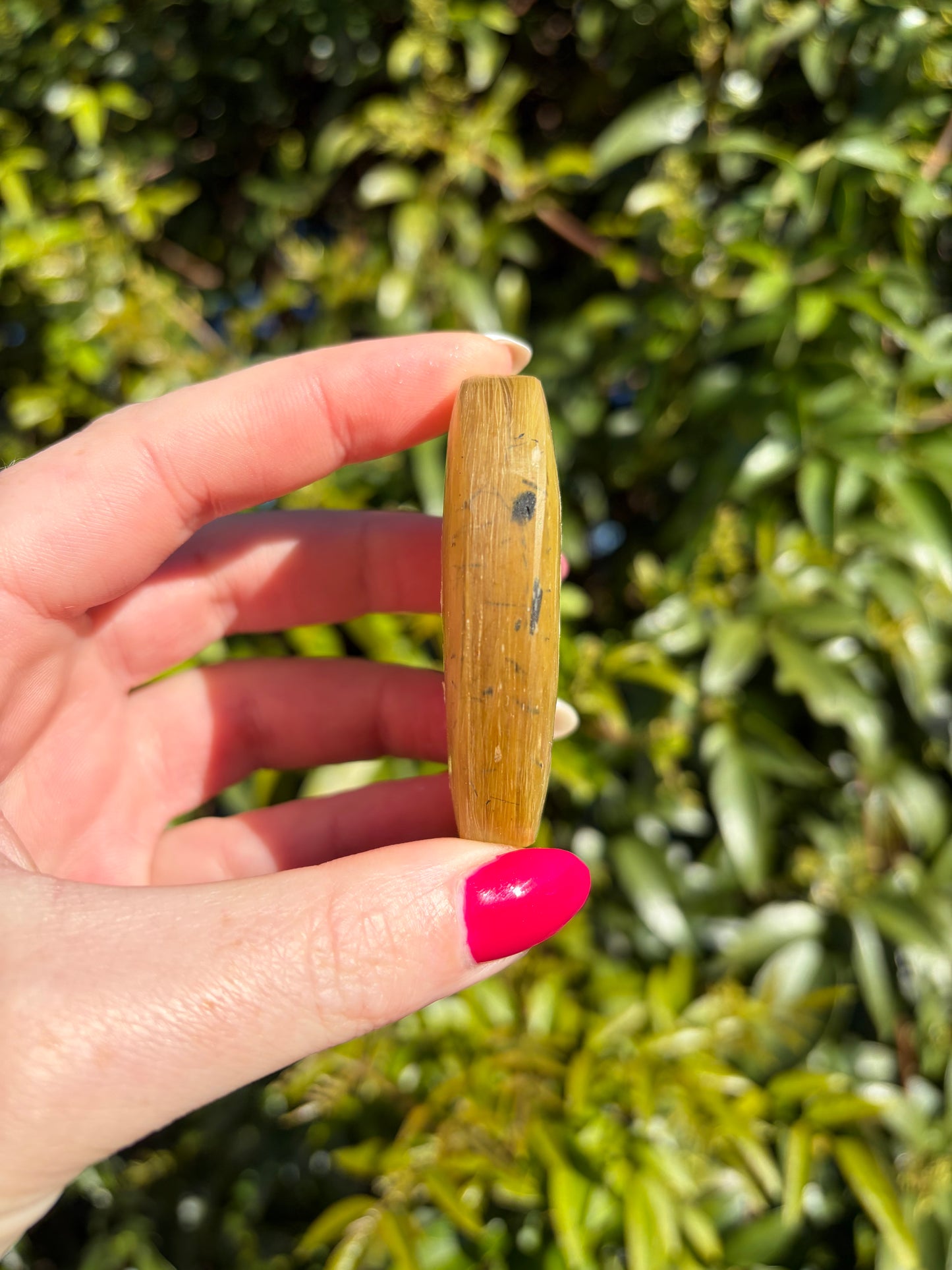 Golden Mica Palm Stone A