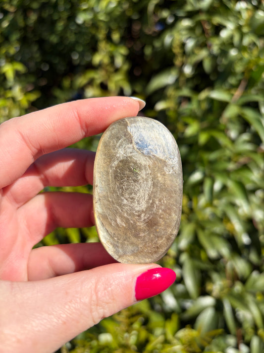 Golden Mica Palm Stone B