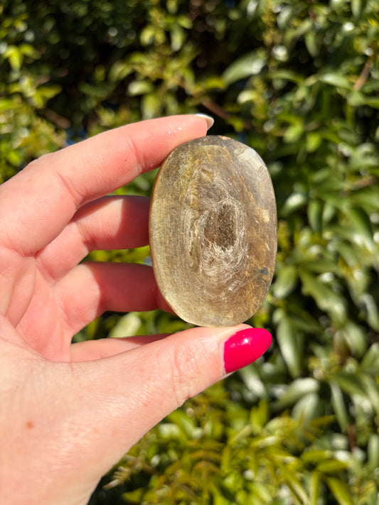 Golden Mica Palm Stone C