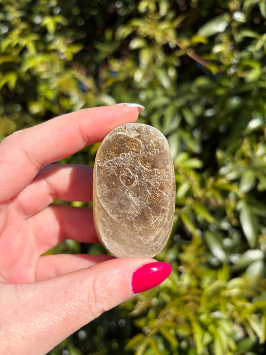 Golden Mica Palm Stone D