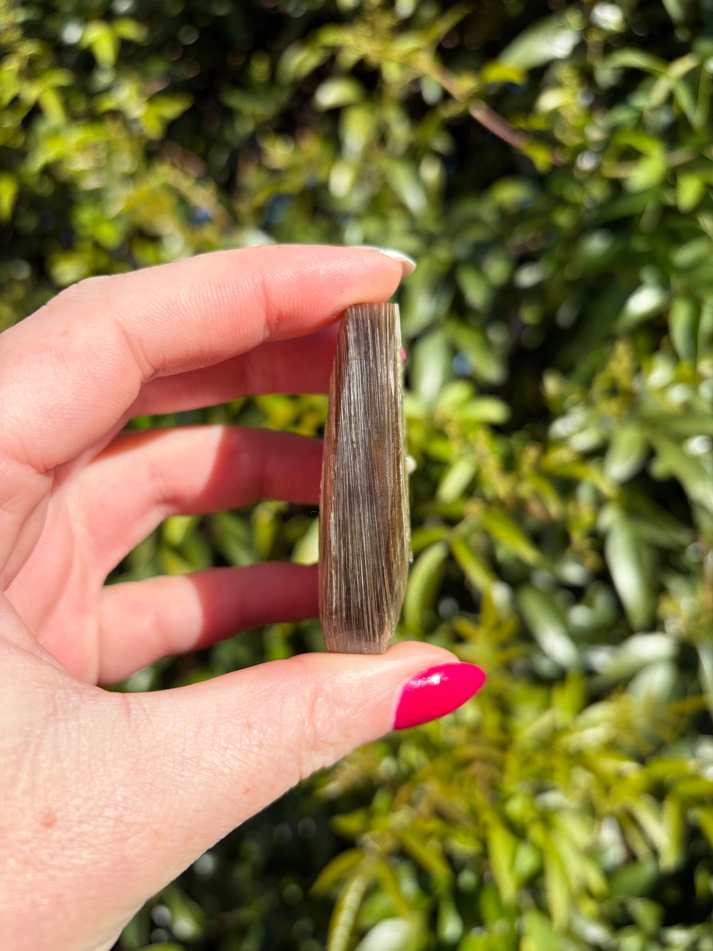 Golden Mica Palm Stone D
