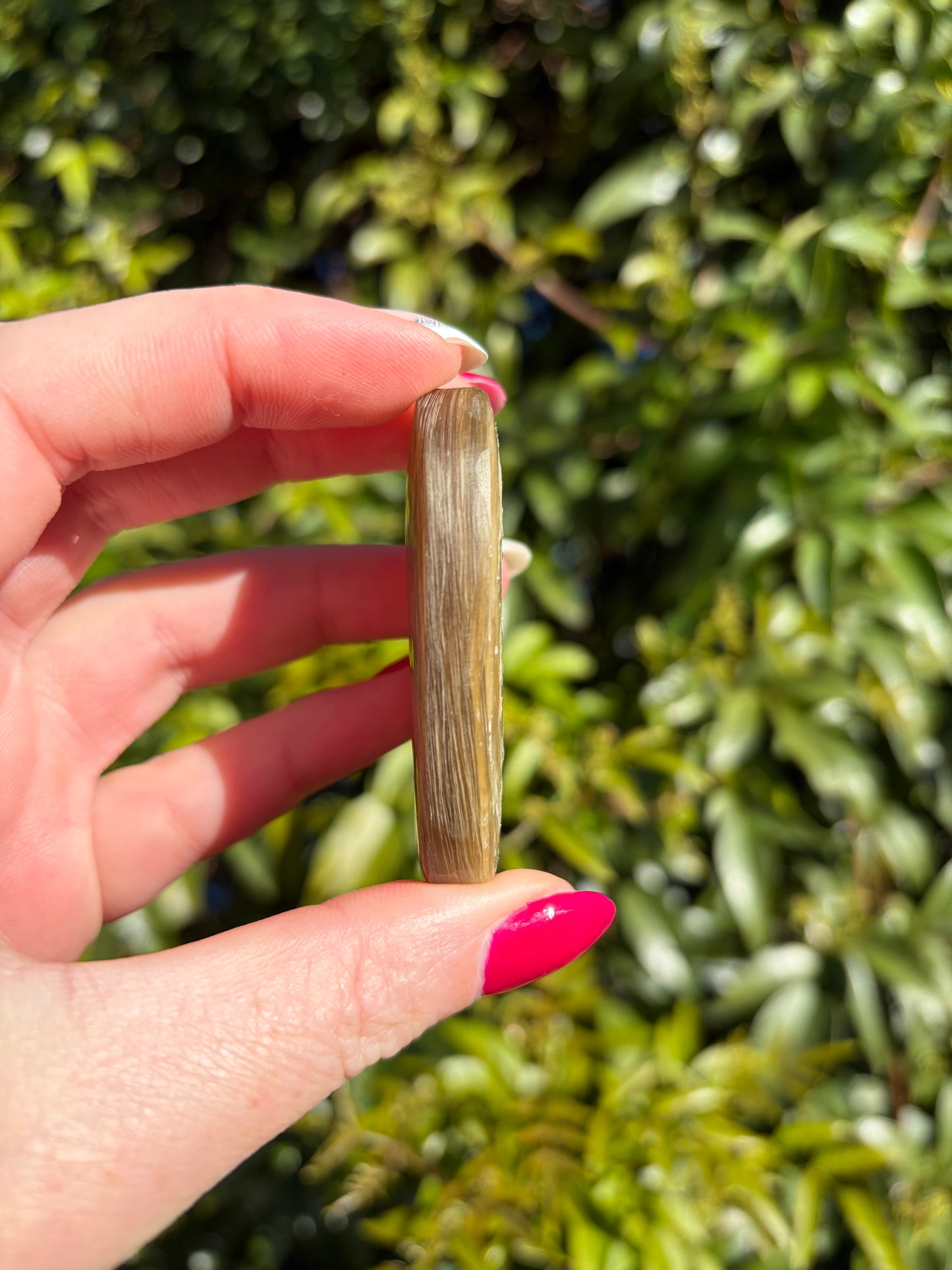 Golden Mica Palm Stone E