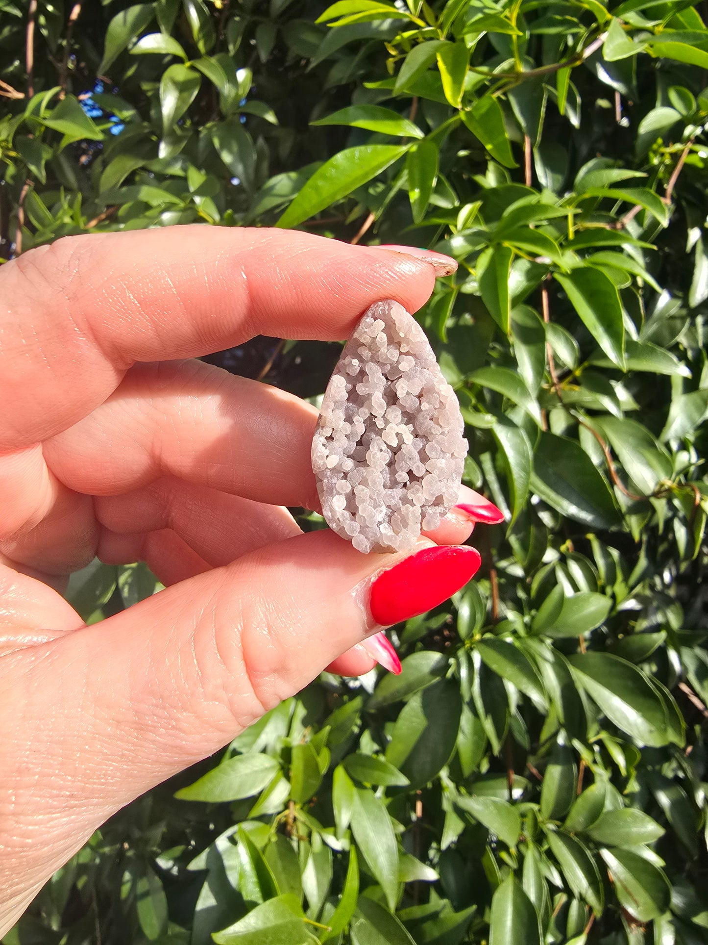 Grape Agate Tear Drop Small