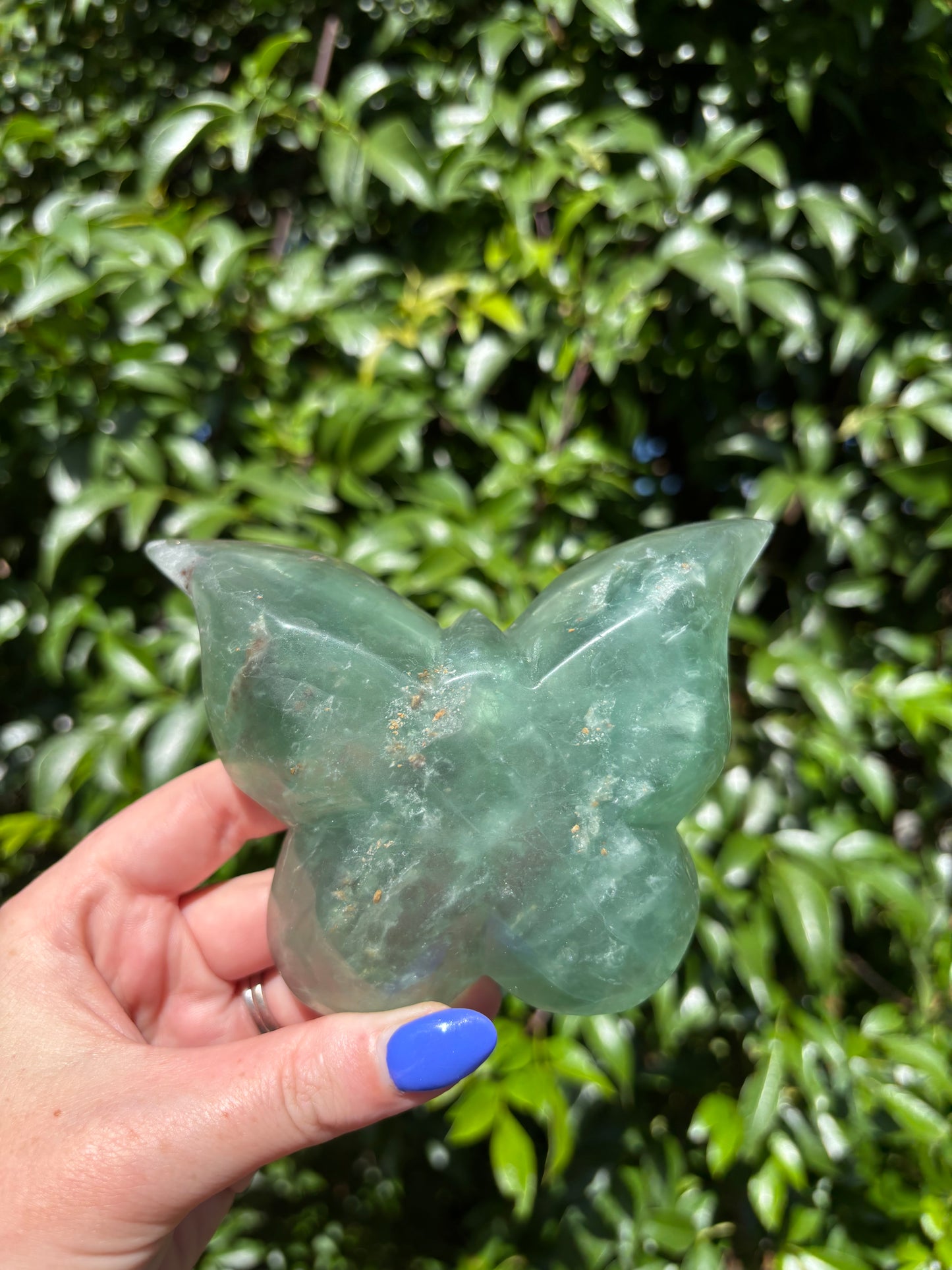 Green Fluorite Butterfly Dish A