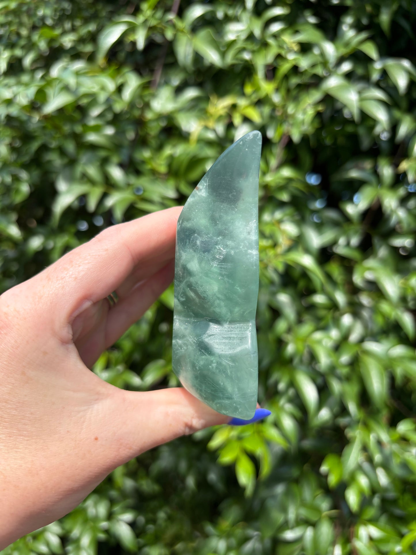 Green Fluorite Butterfly Dish A