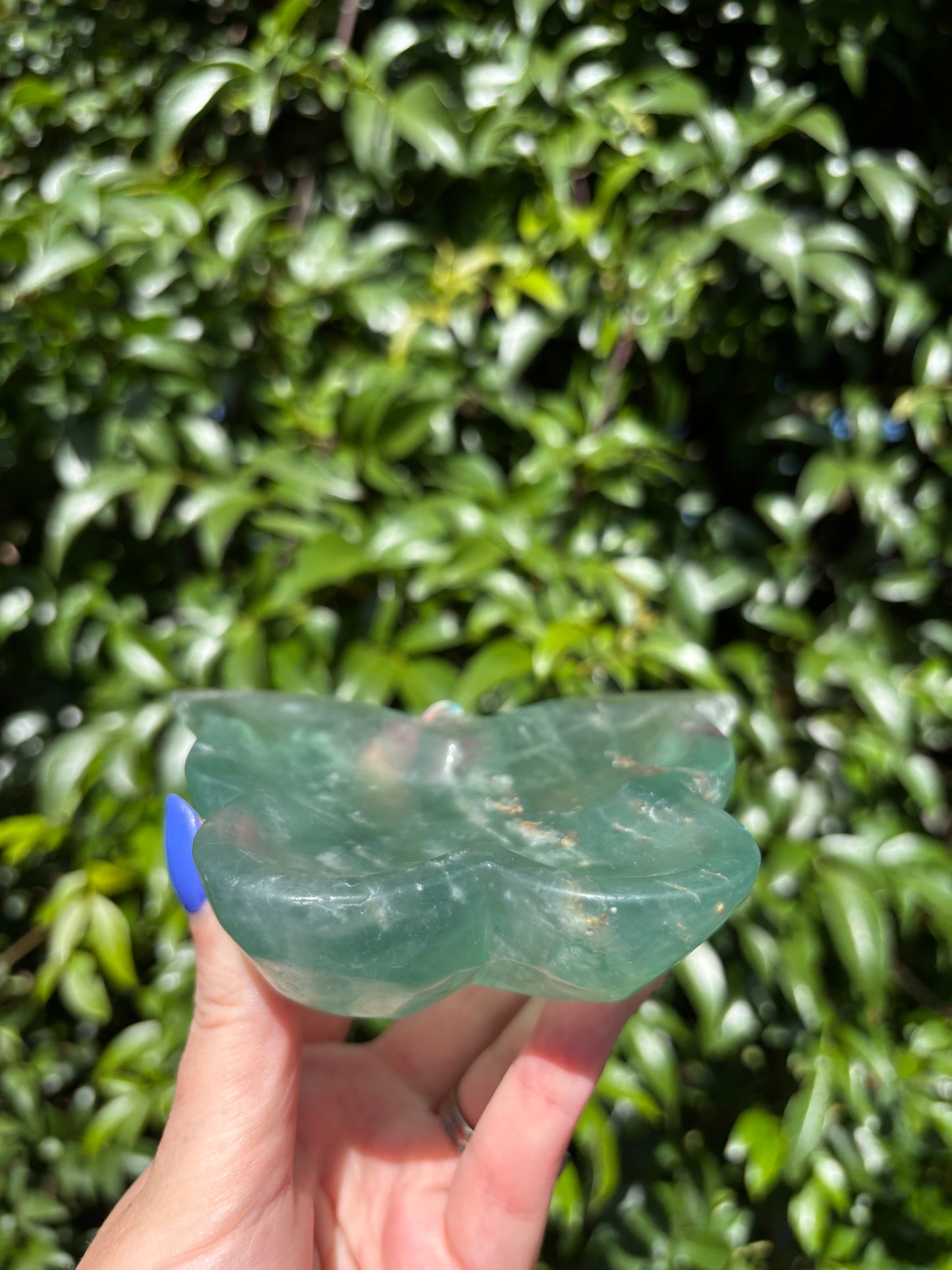 Green Fluorite Butterfly Dish A