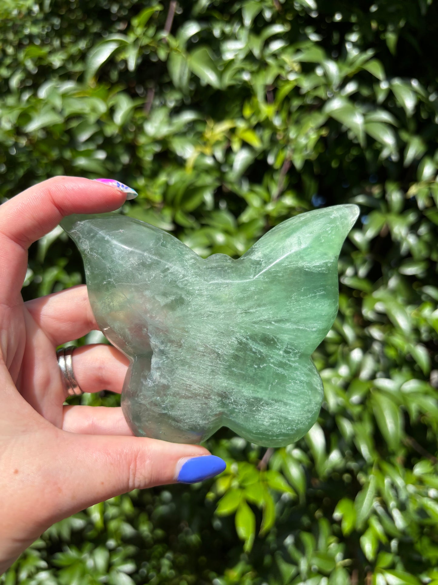 Green Fluorite Butterfly Dish C