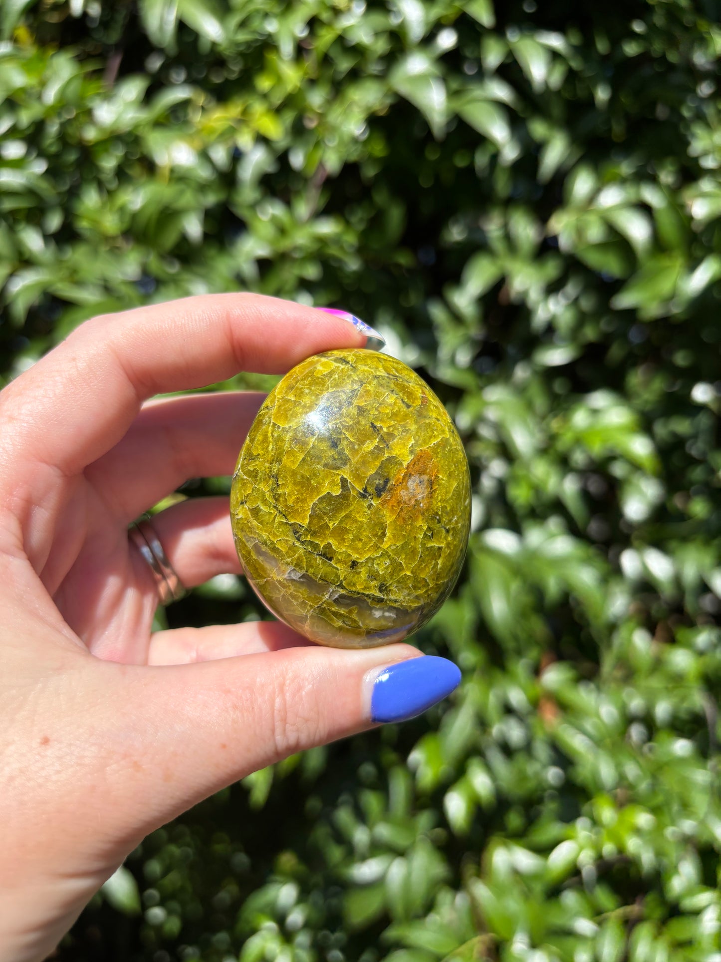 Green Opal Palm Stone F