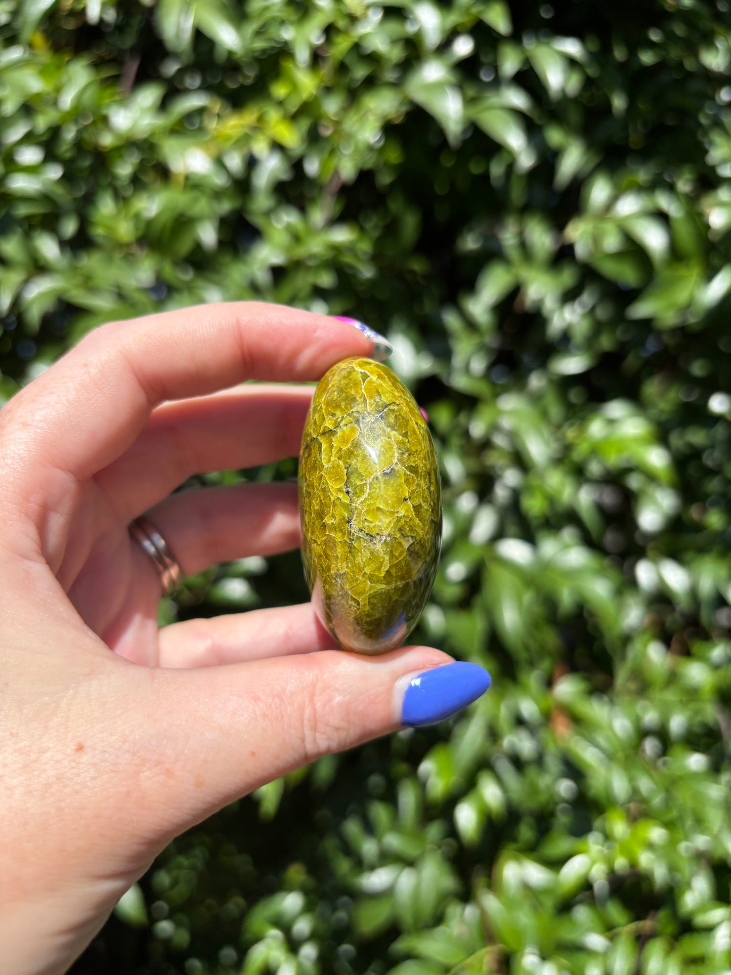 Green Opal Palm Stone F